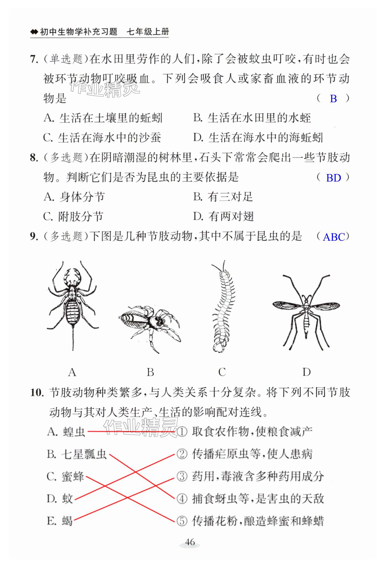 第46页
