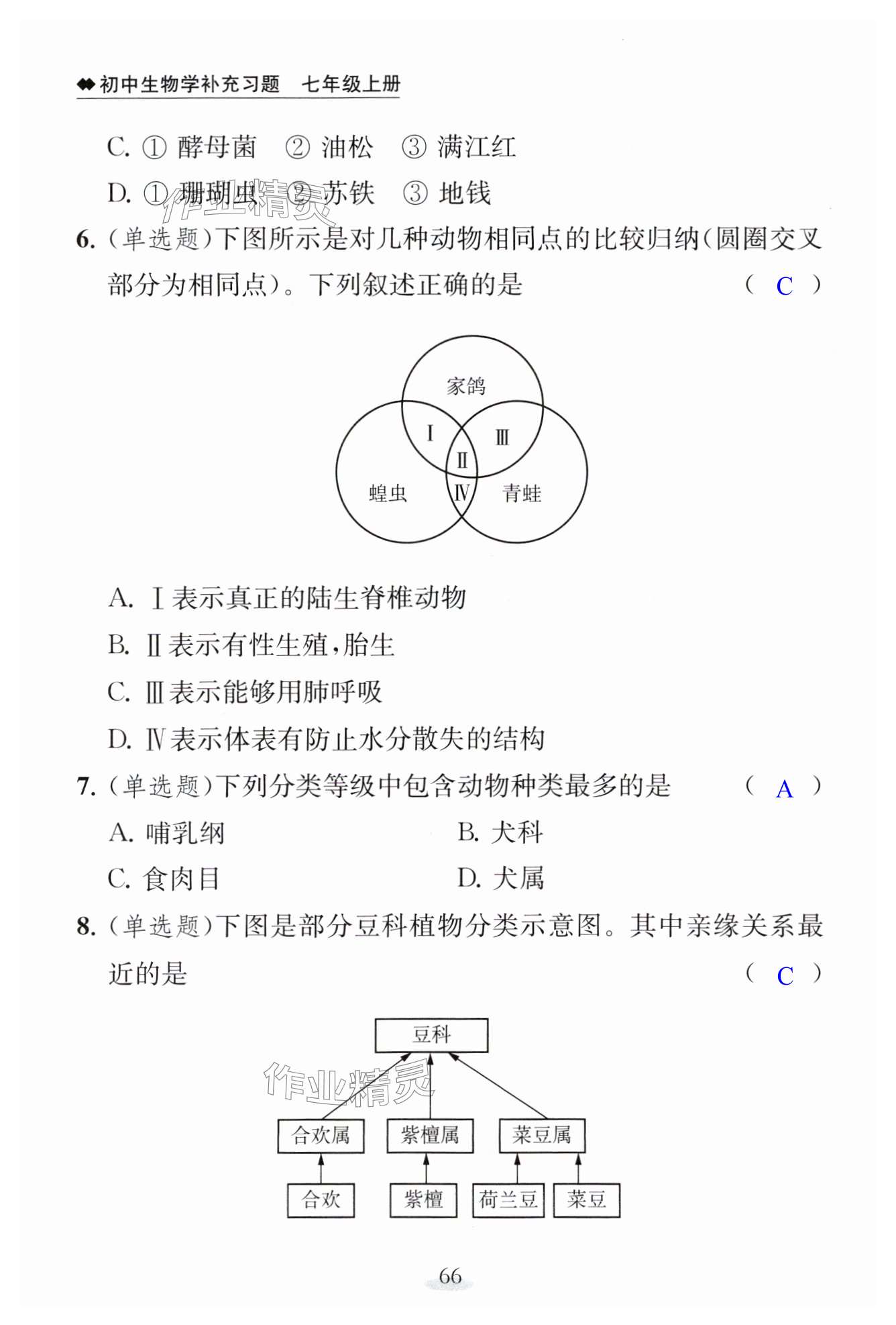 第66页