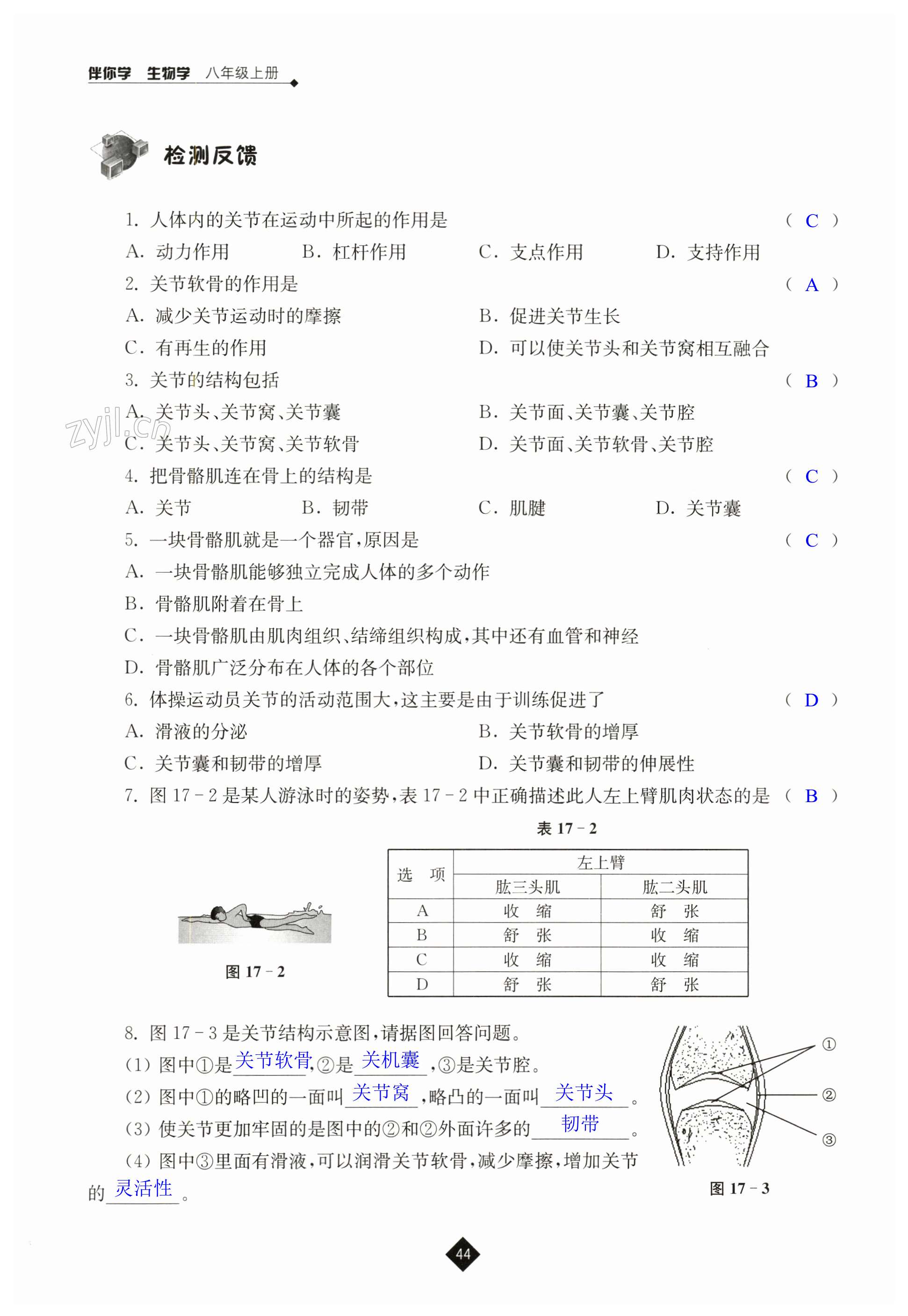 第44页