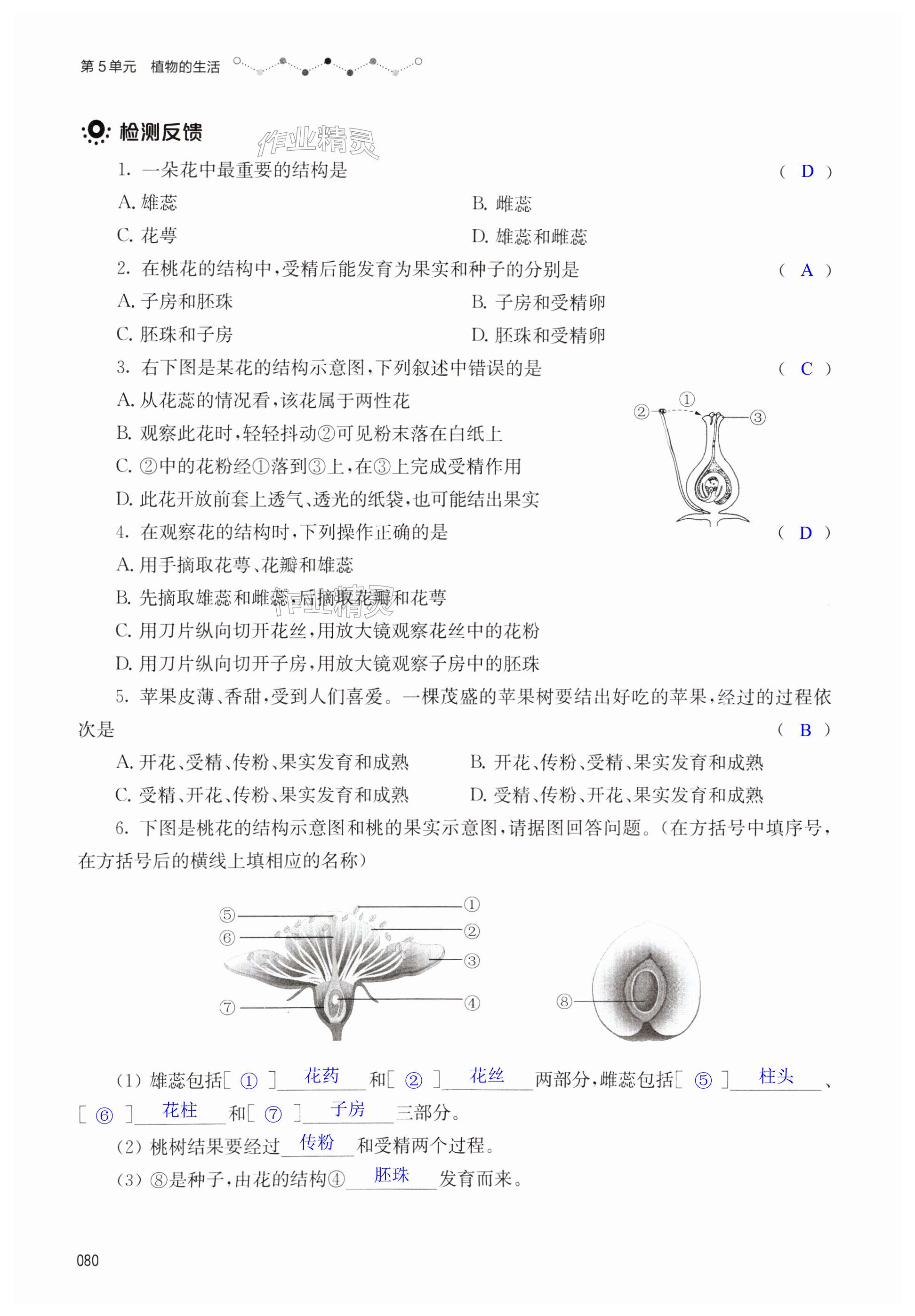 第80页