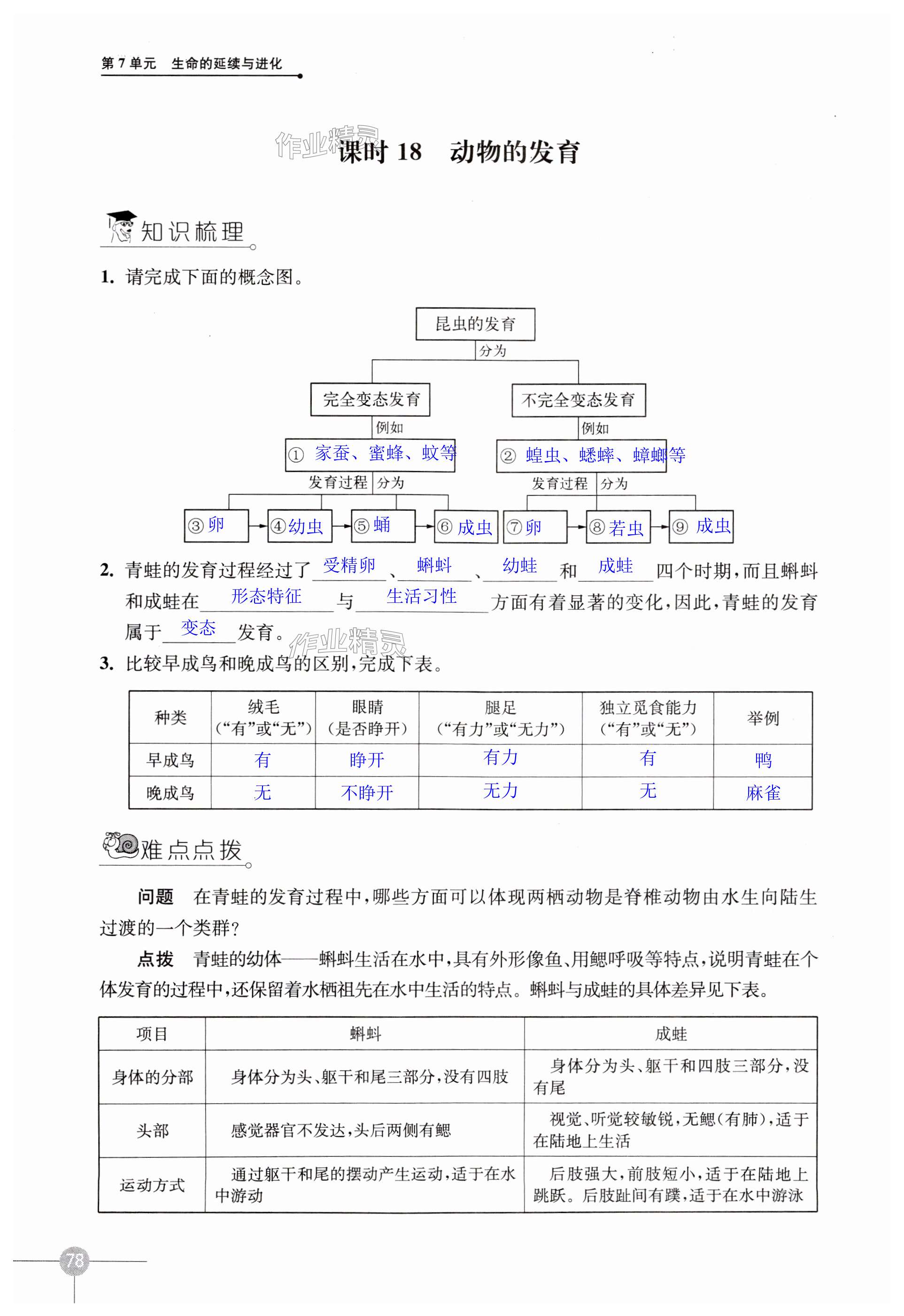 第78页