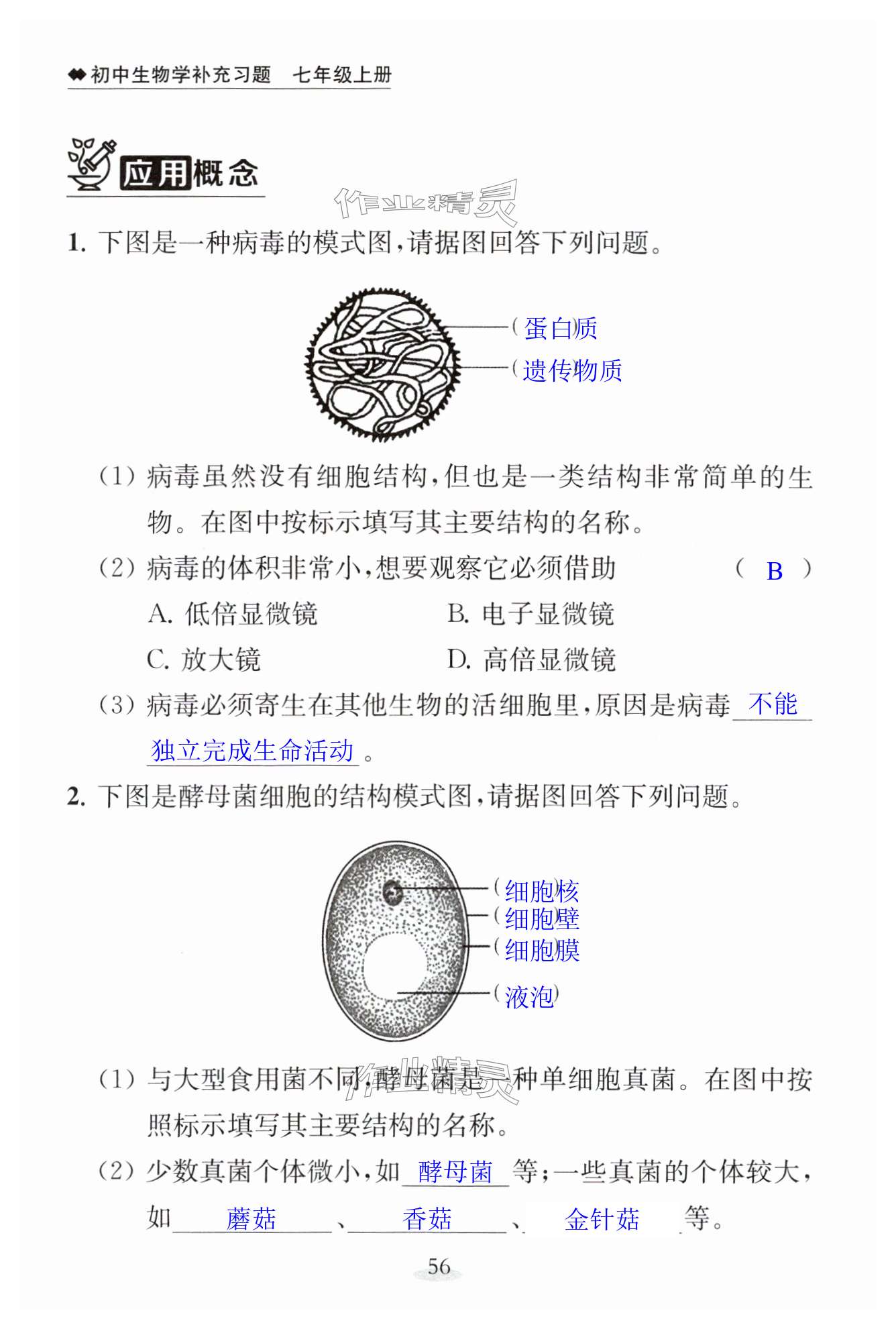 第56页