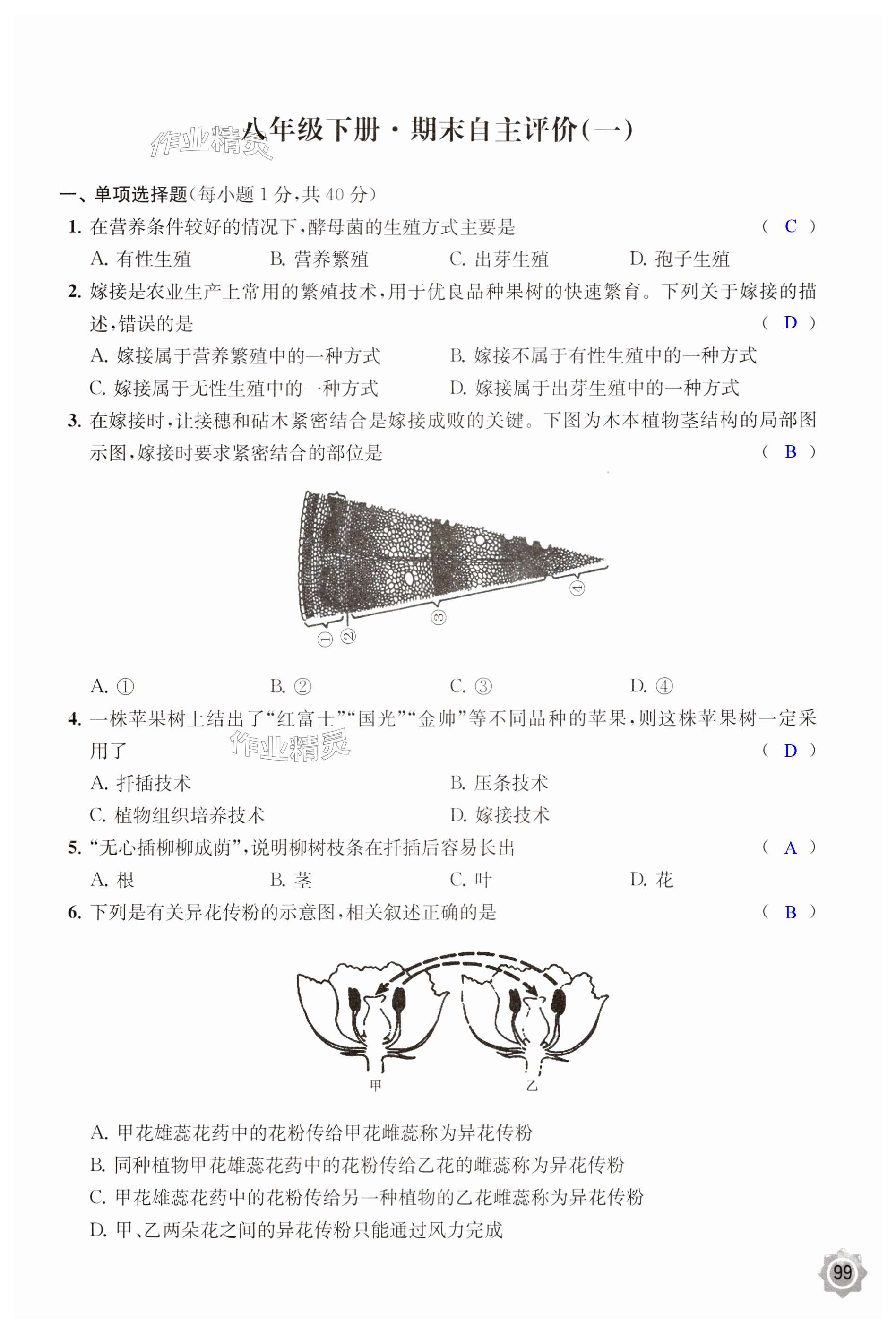 第99页