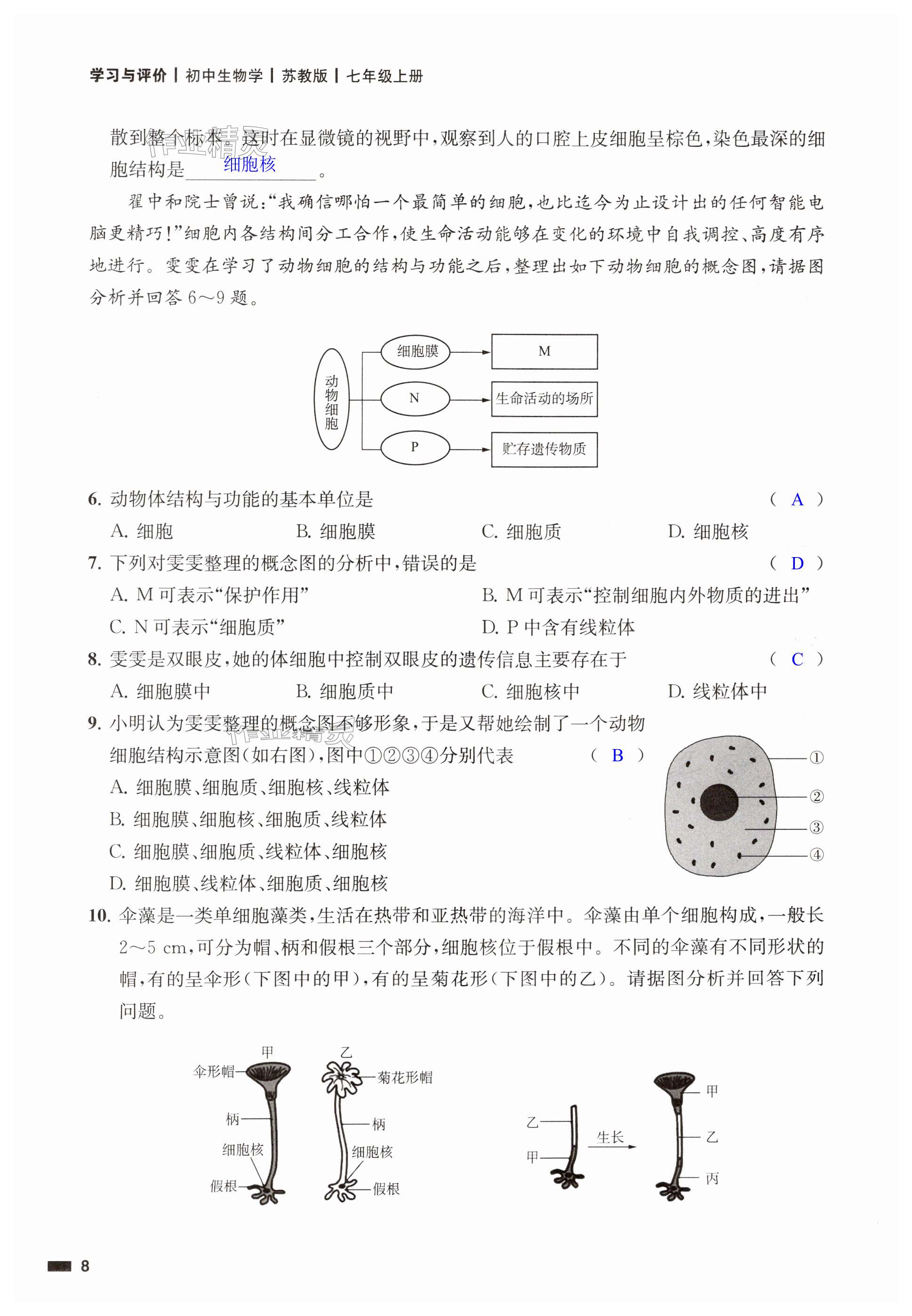 第8页