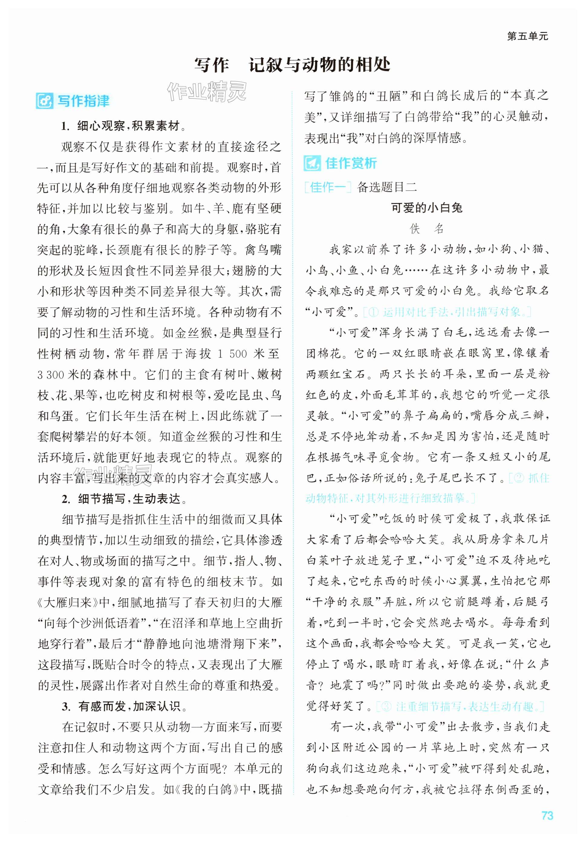 第73页