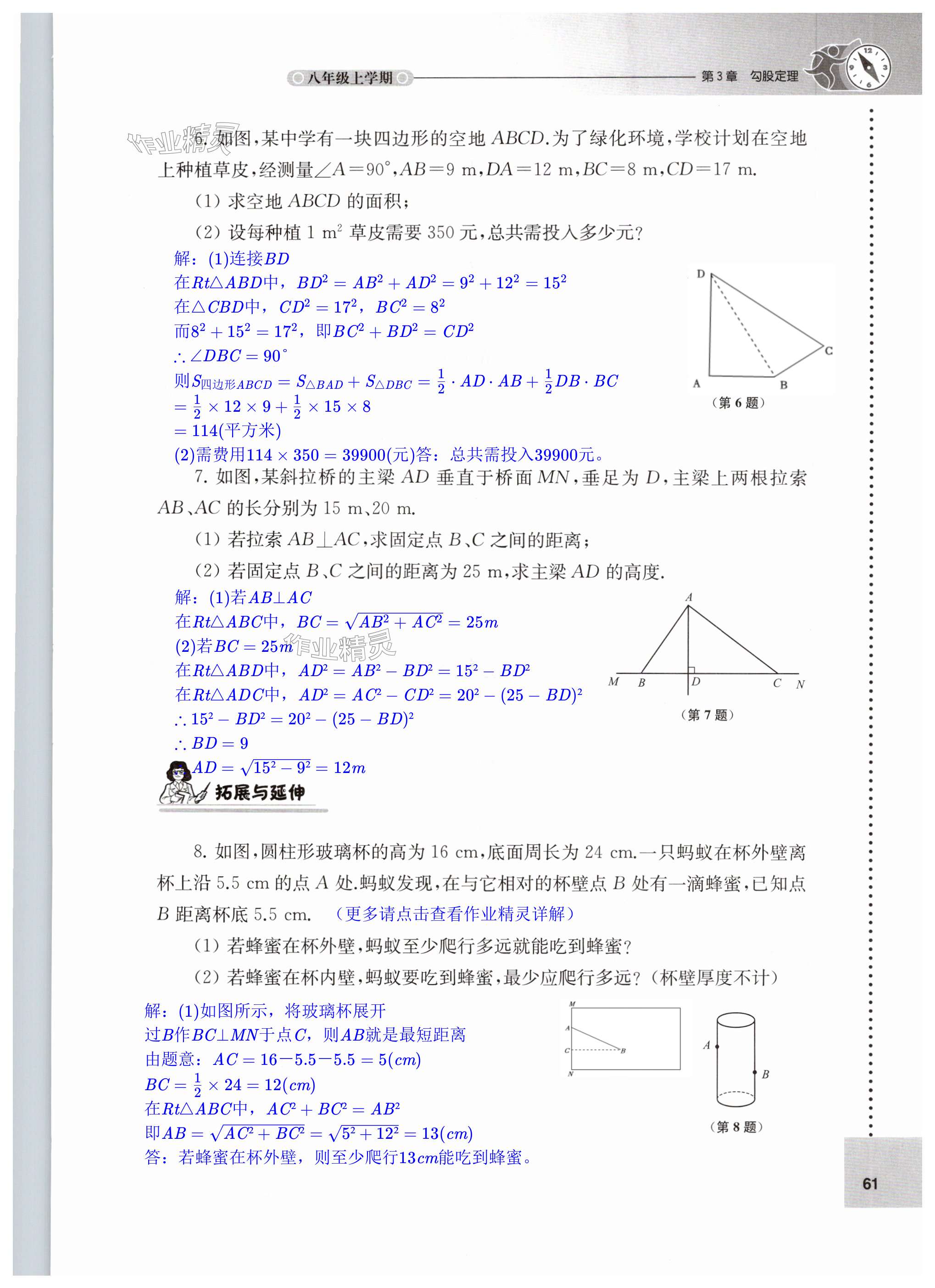 第61页