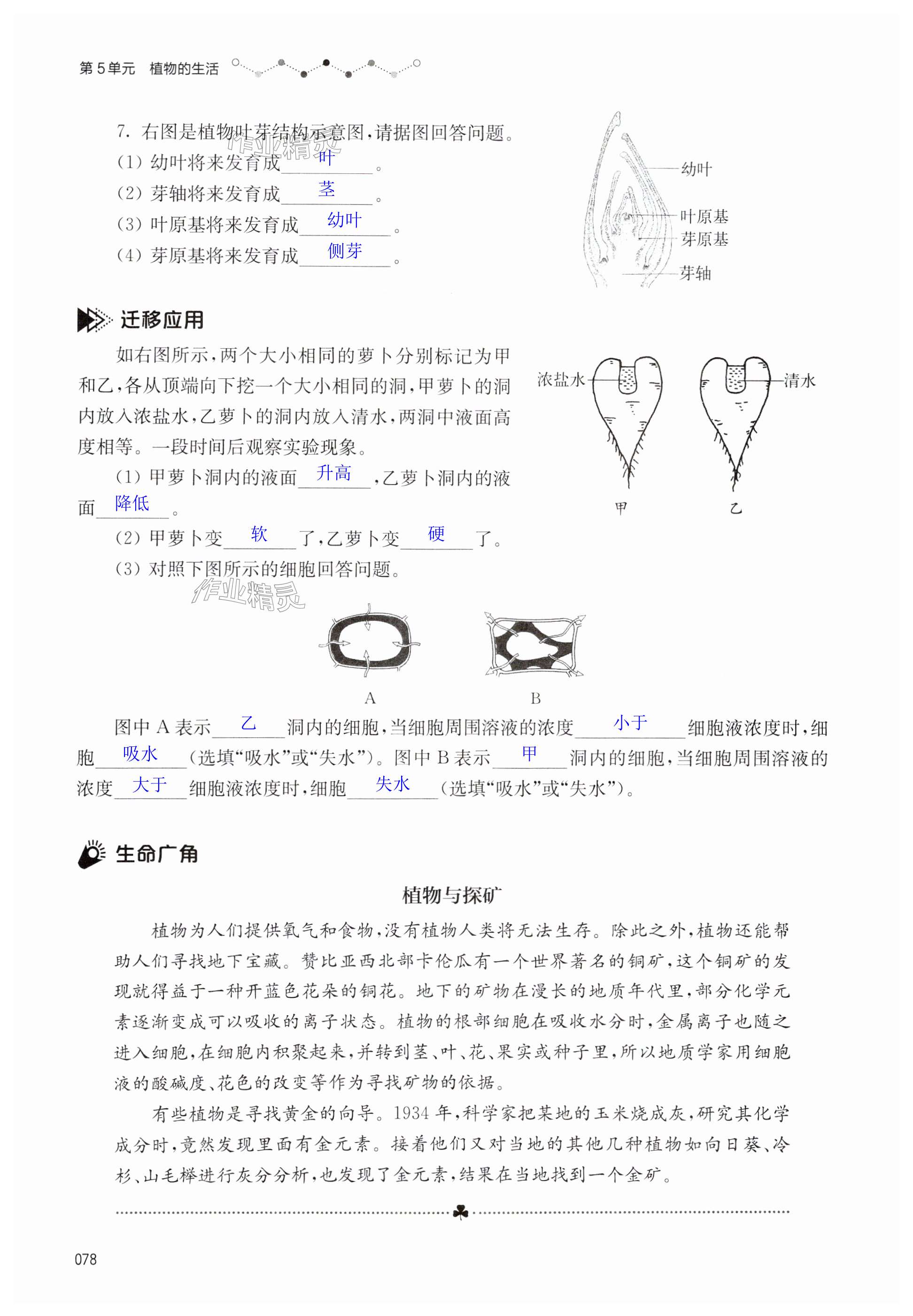 第78页