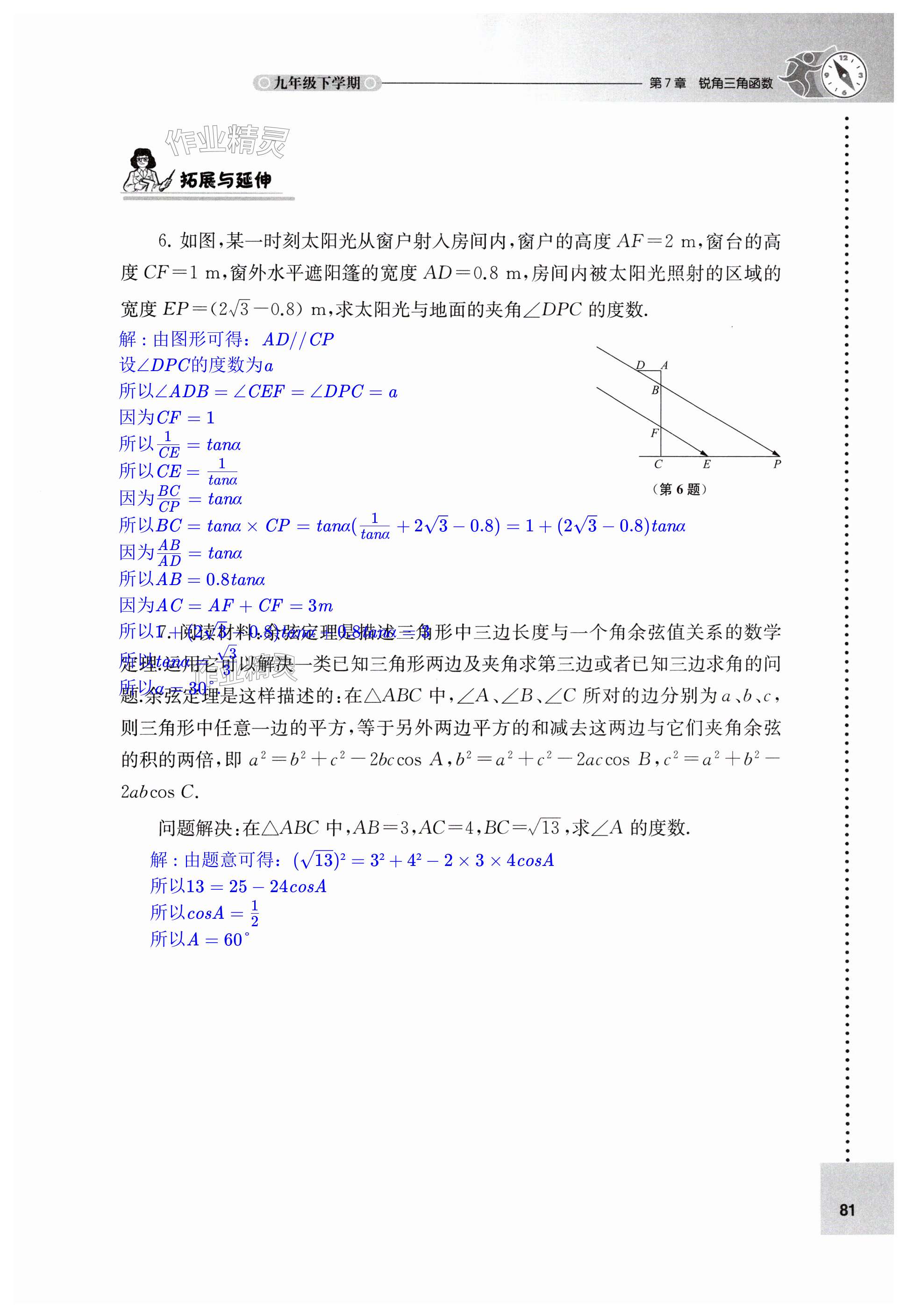 第81页