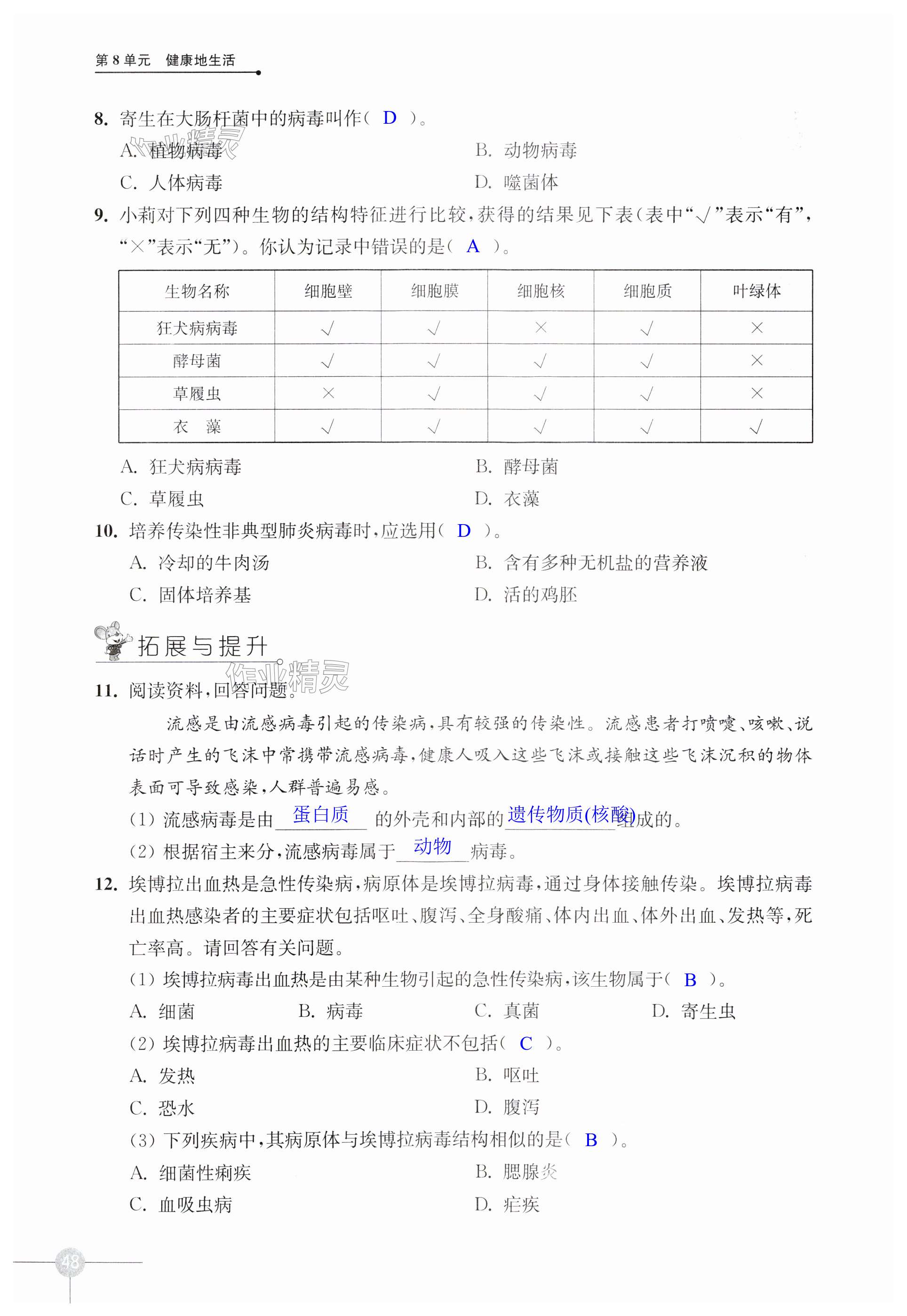 第48页