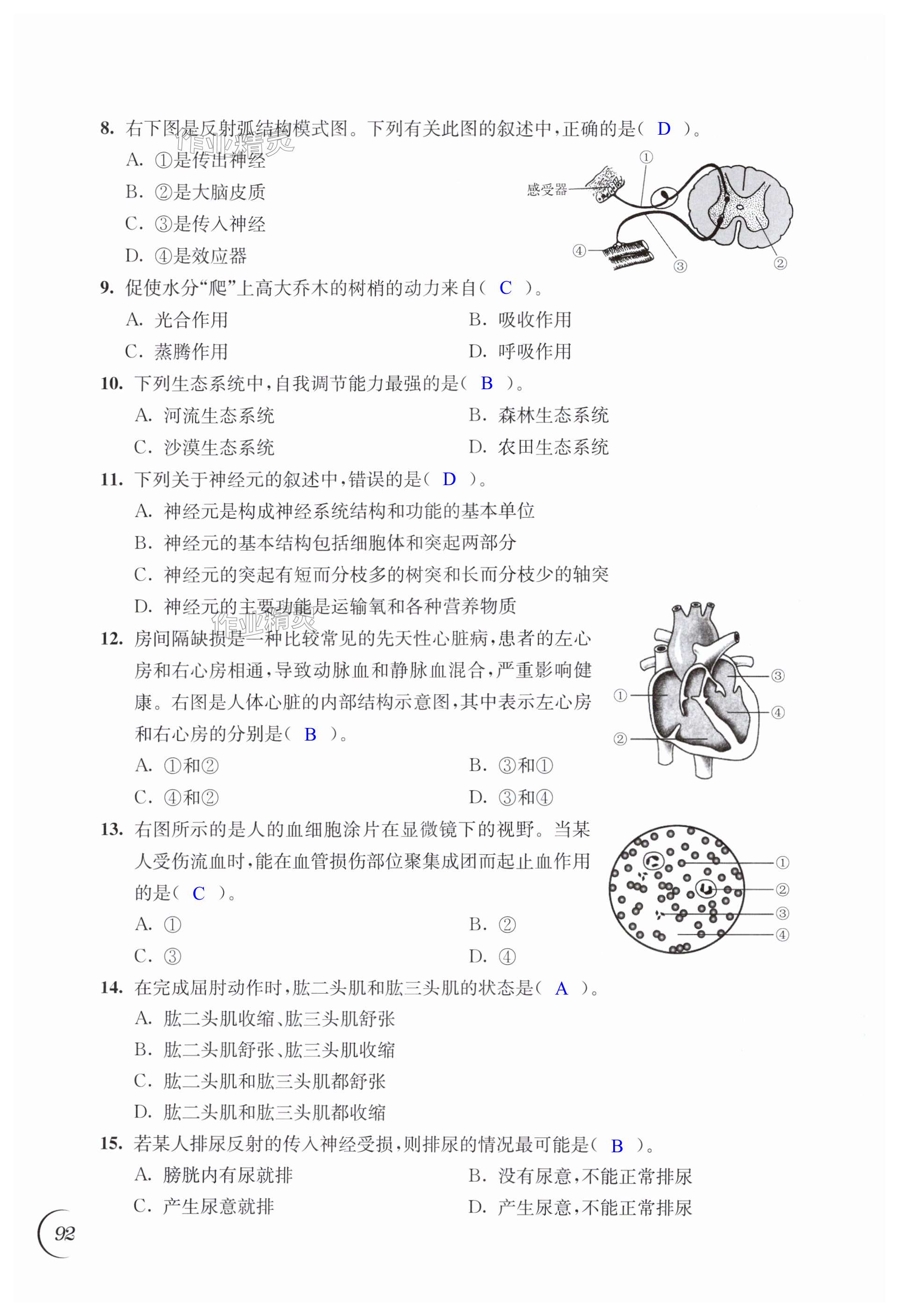 第92页