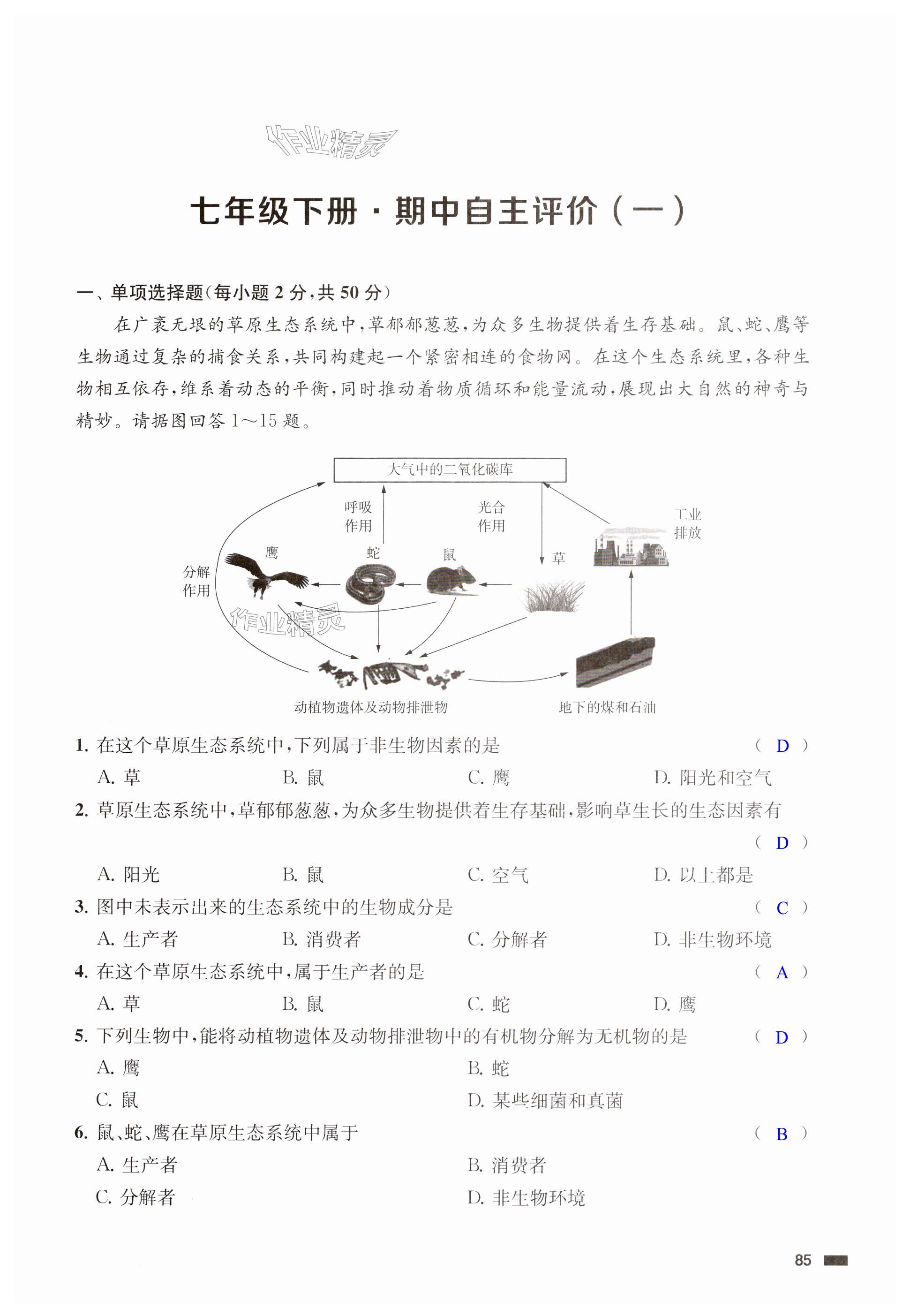 第85页
