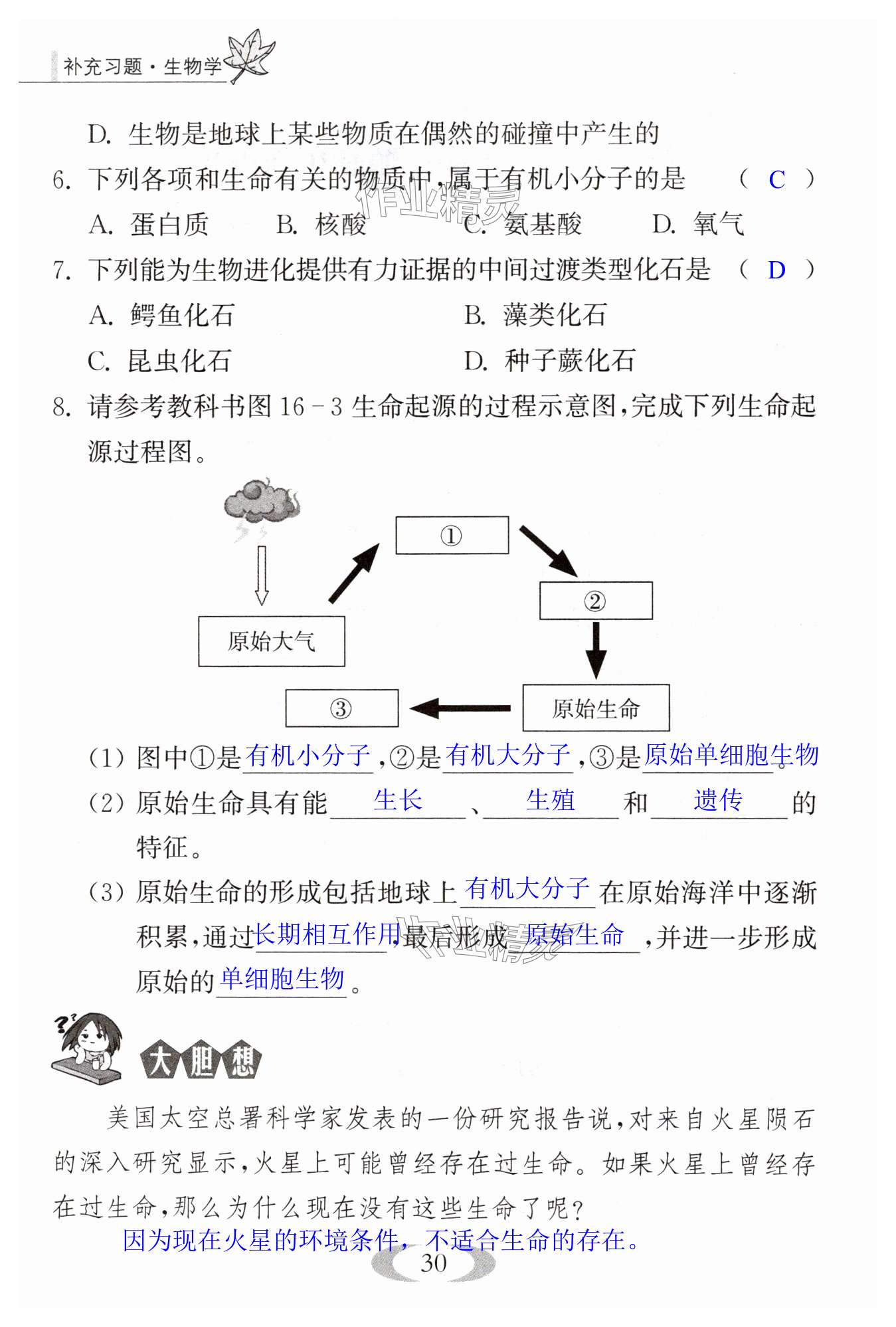 第30页