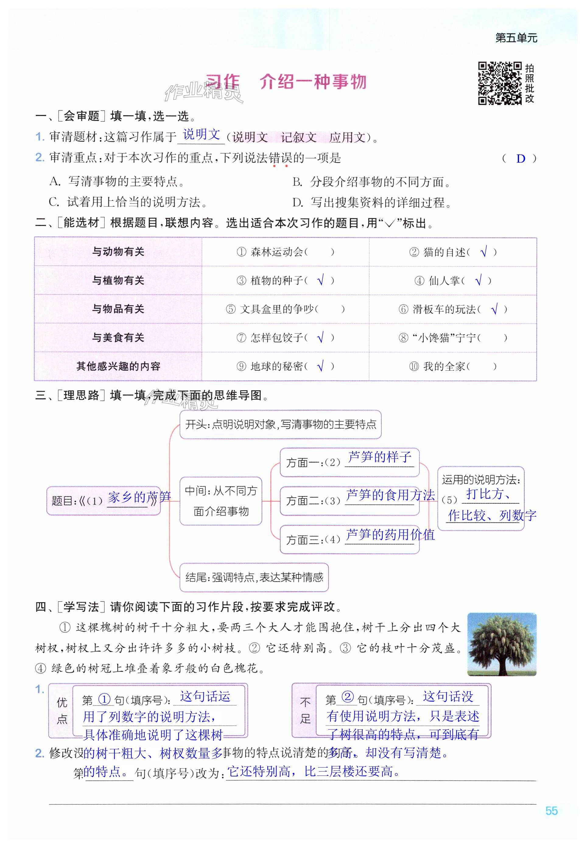 第55页