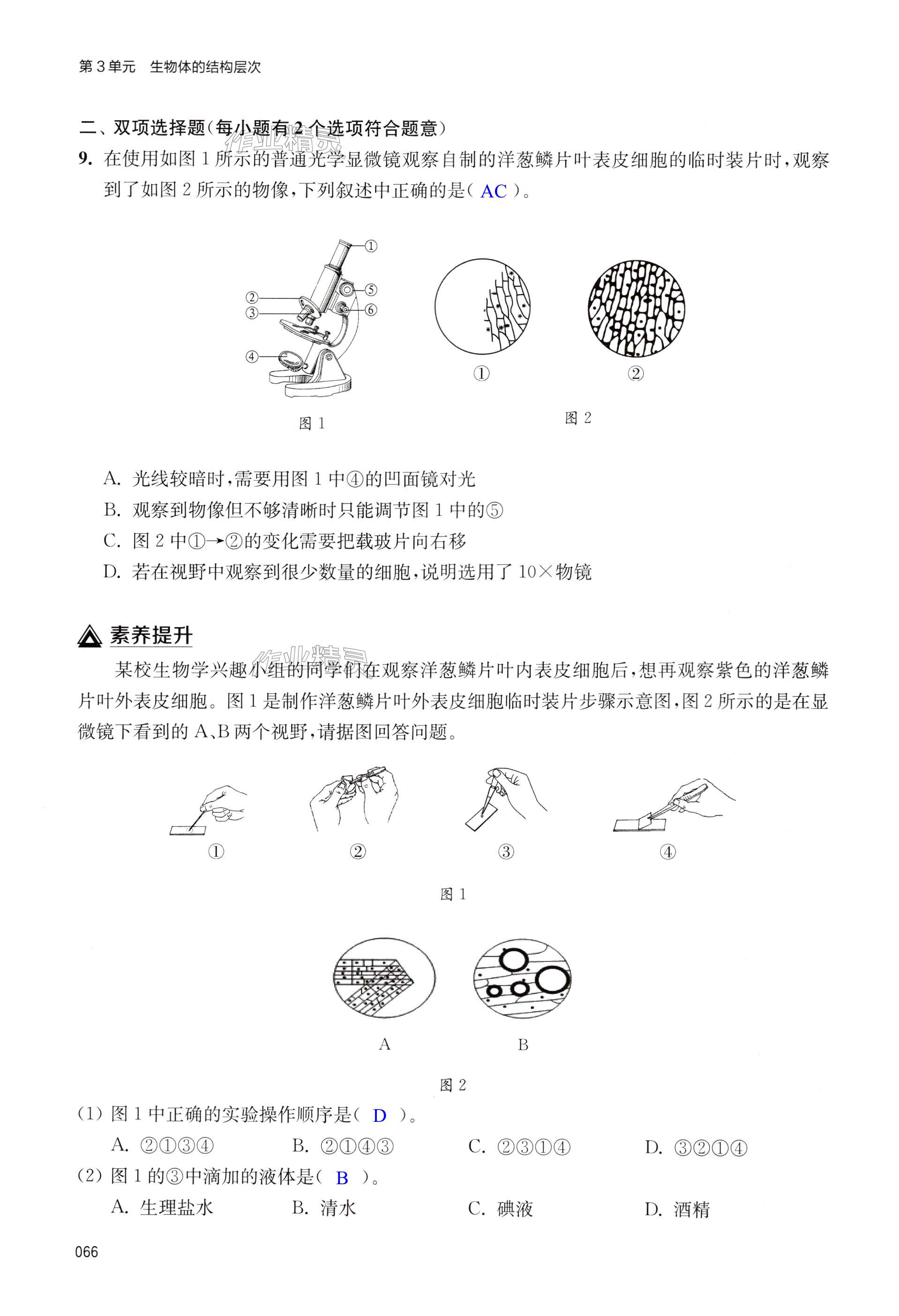 第66页