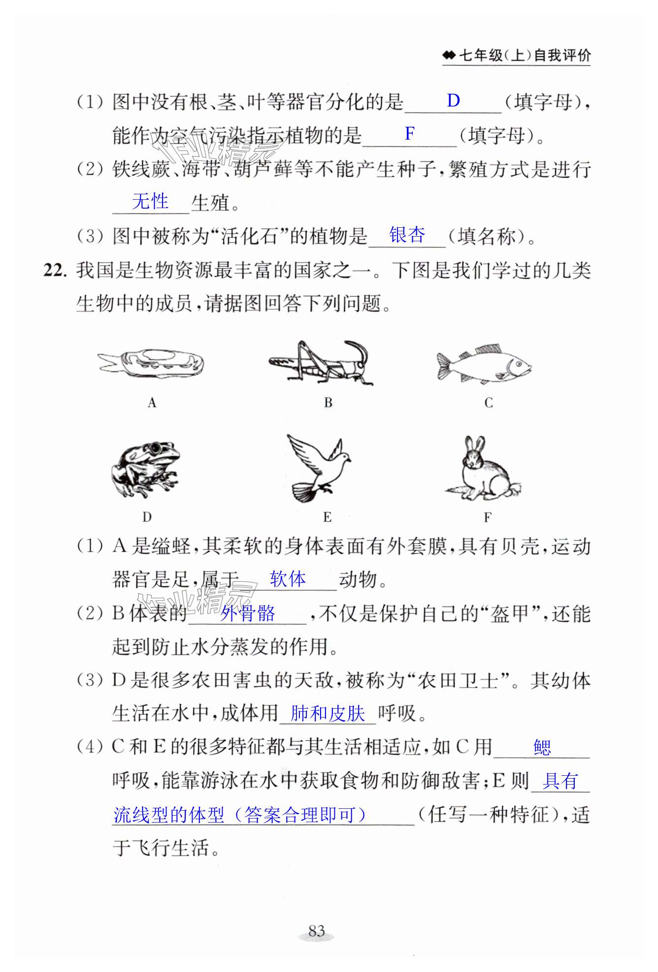 第83页