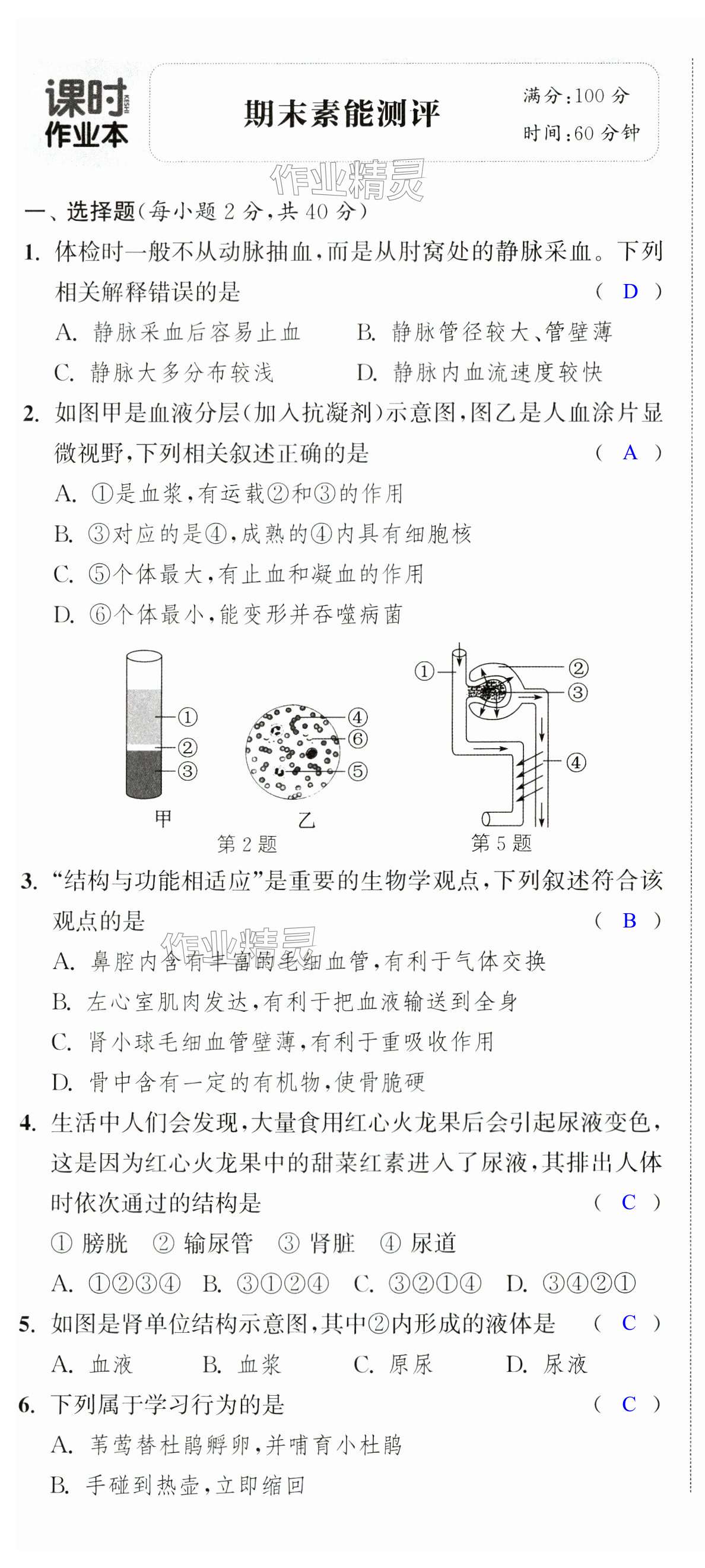 第31页