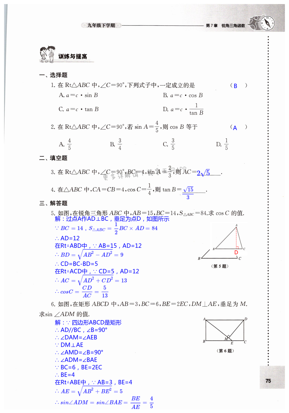 第7章 锐角三角函数 - 第75页