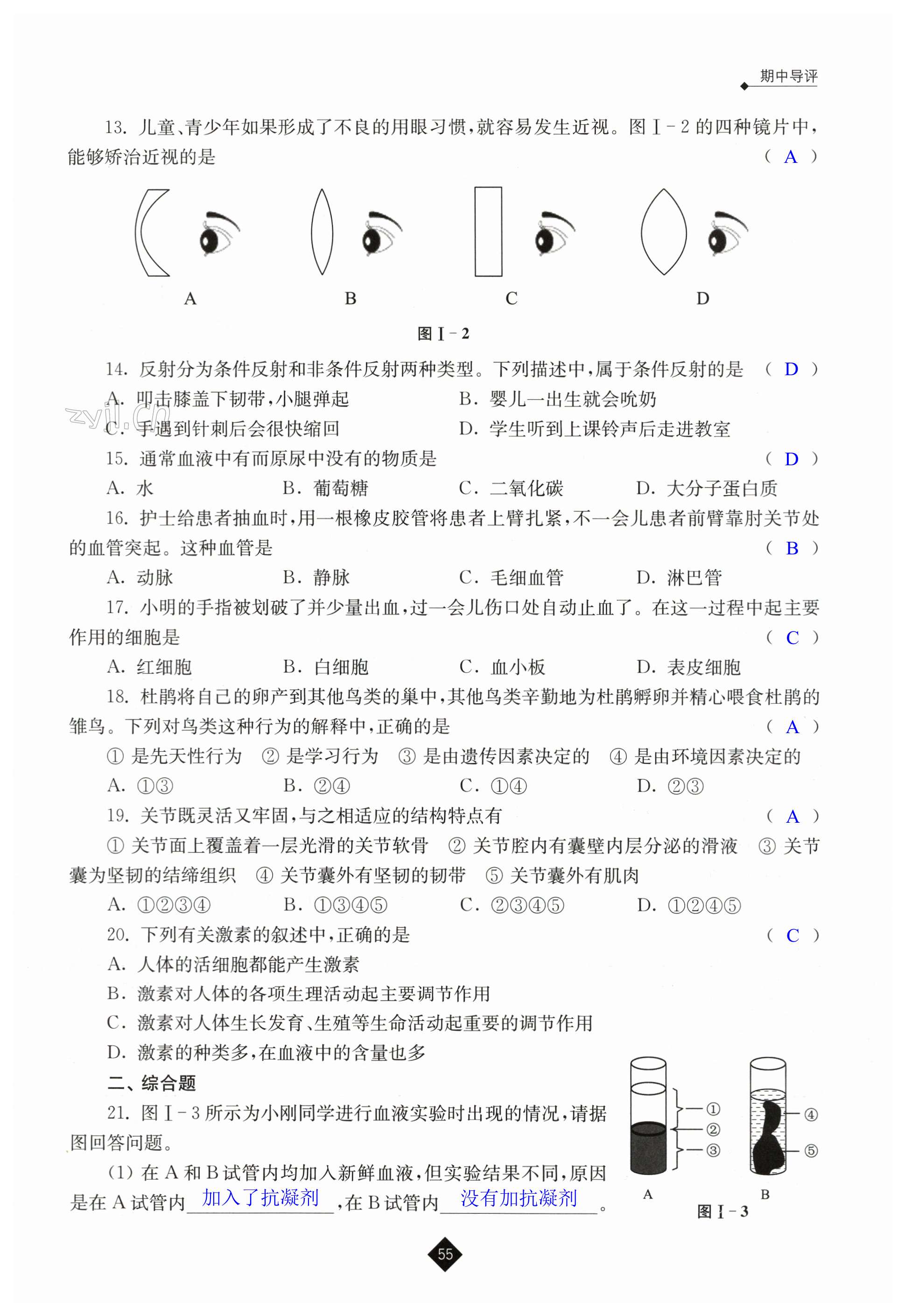 第55页