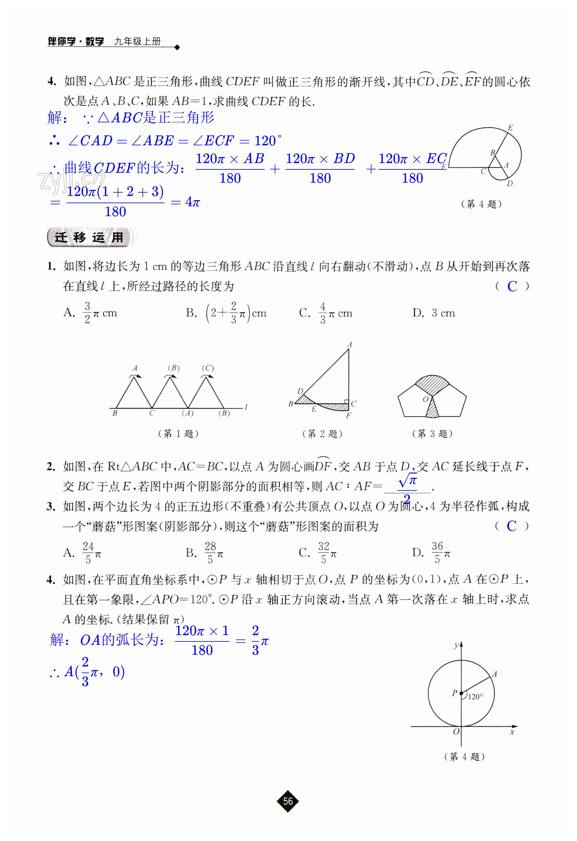 第56页