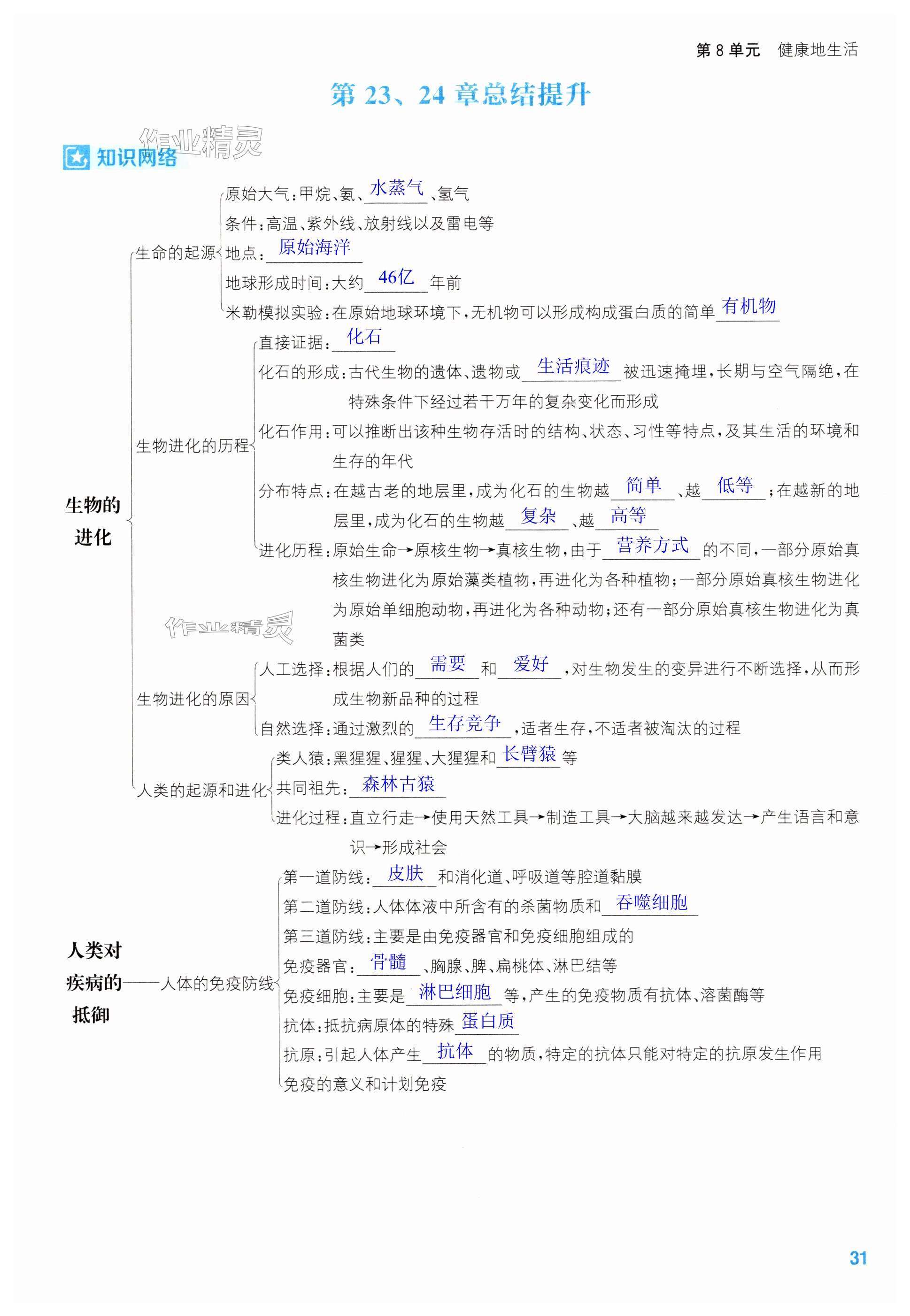 第31页