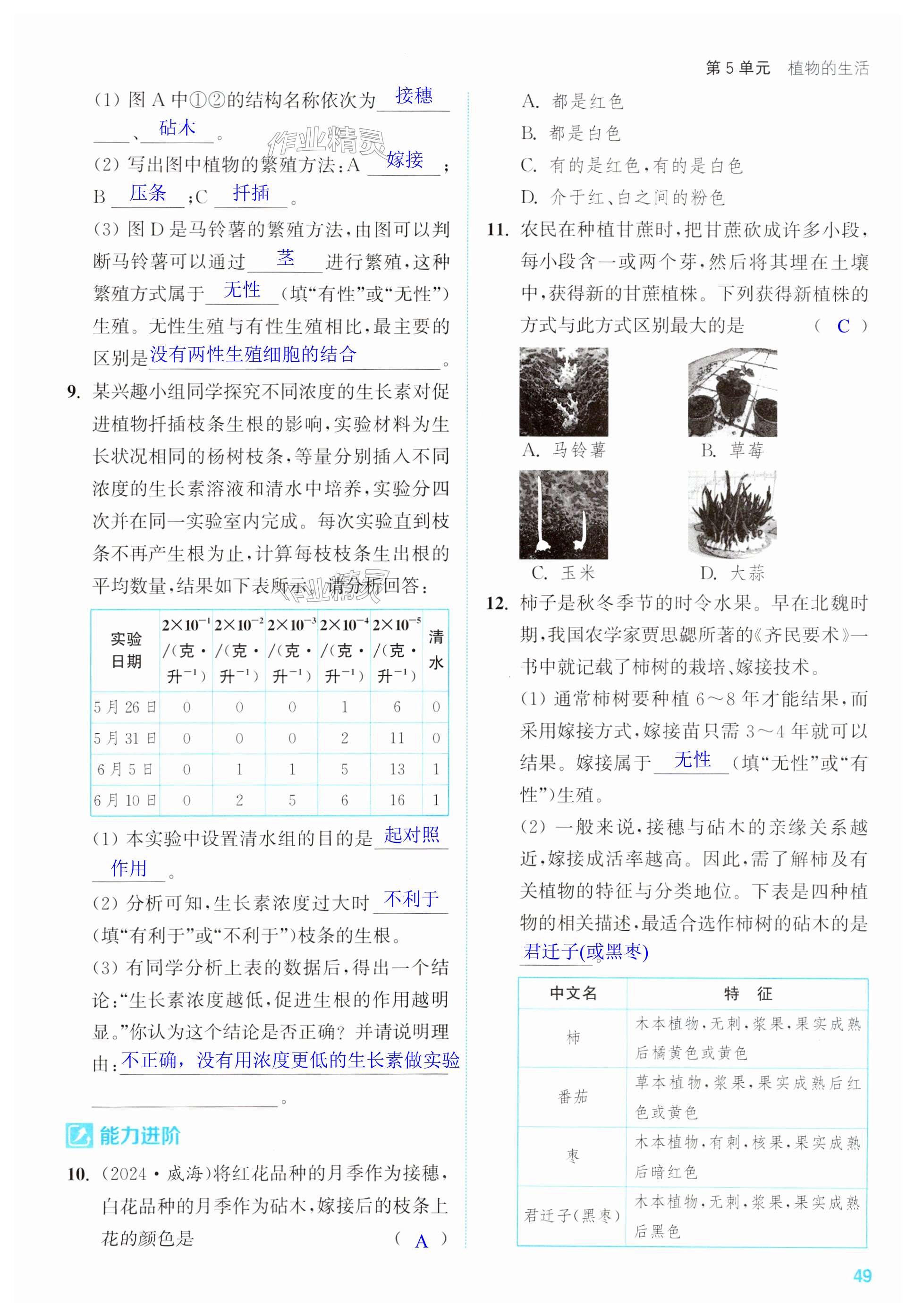 第49页