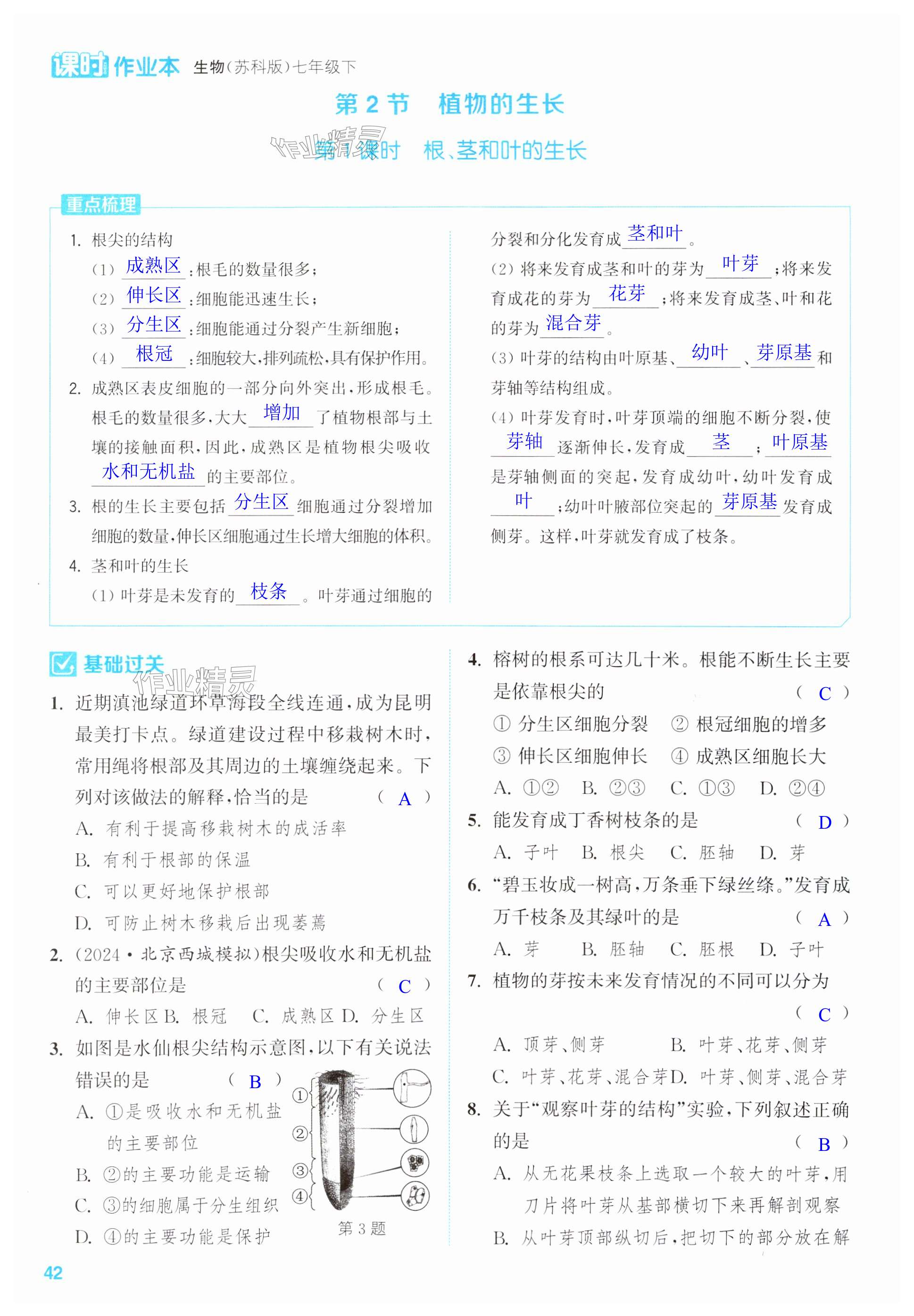 第42页
