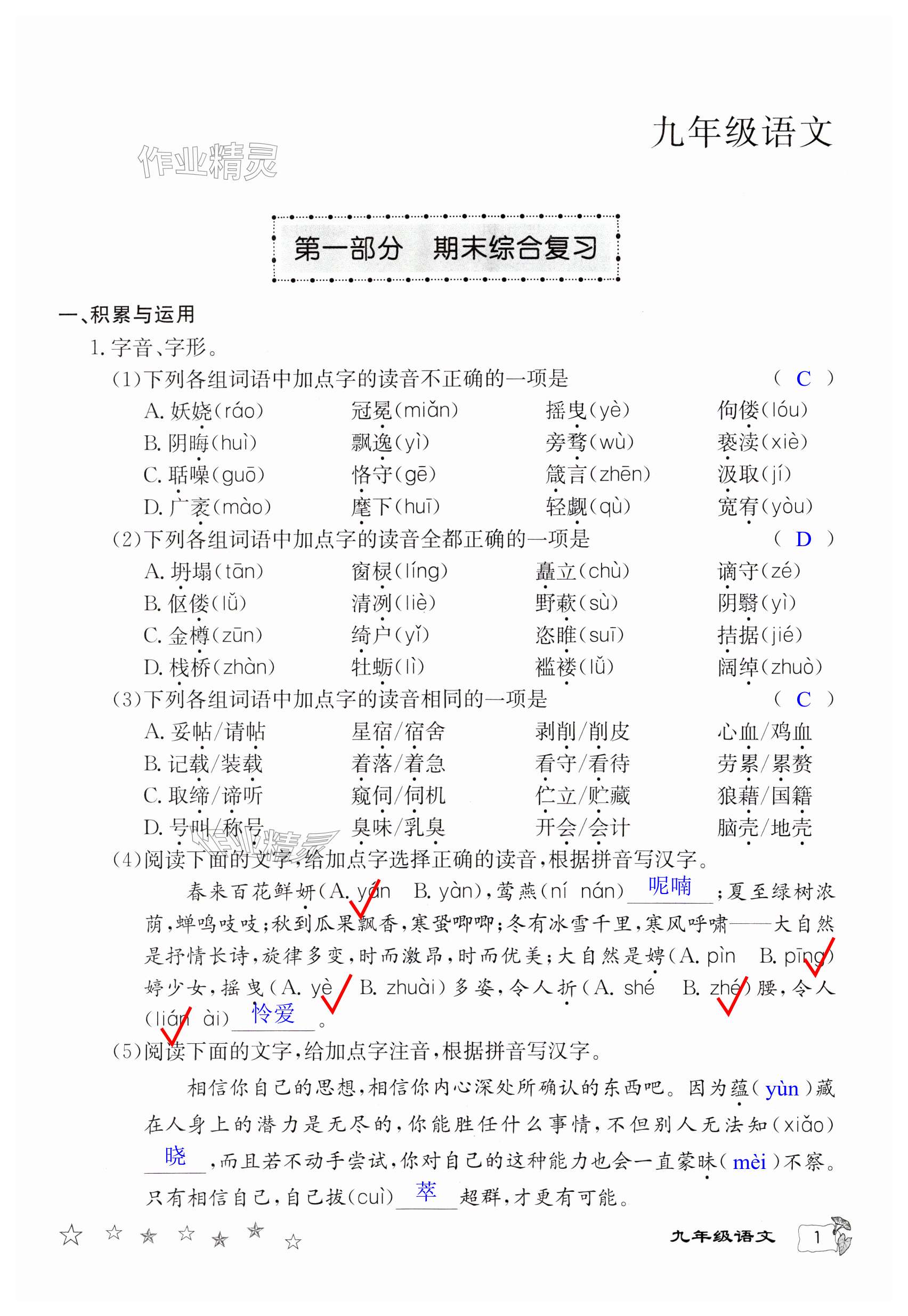 2024年寒假作业延边教育出版社九年级合订本A版仁爱版河南专版 第1页