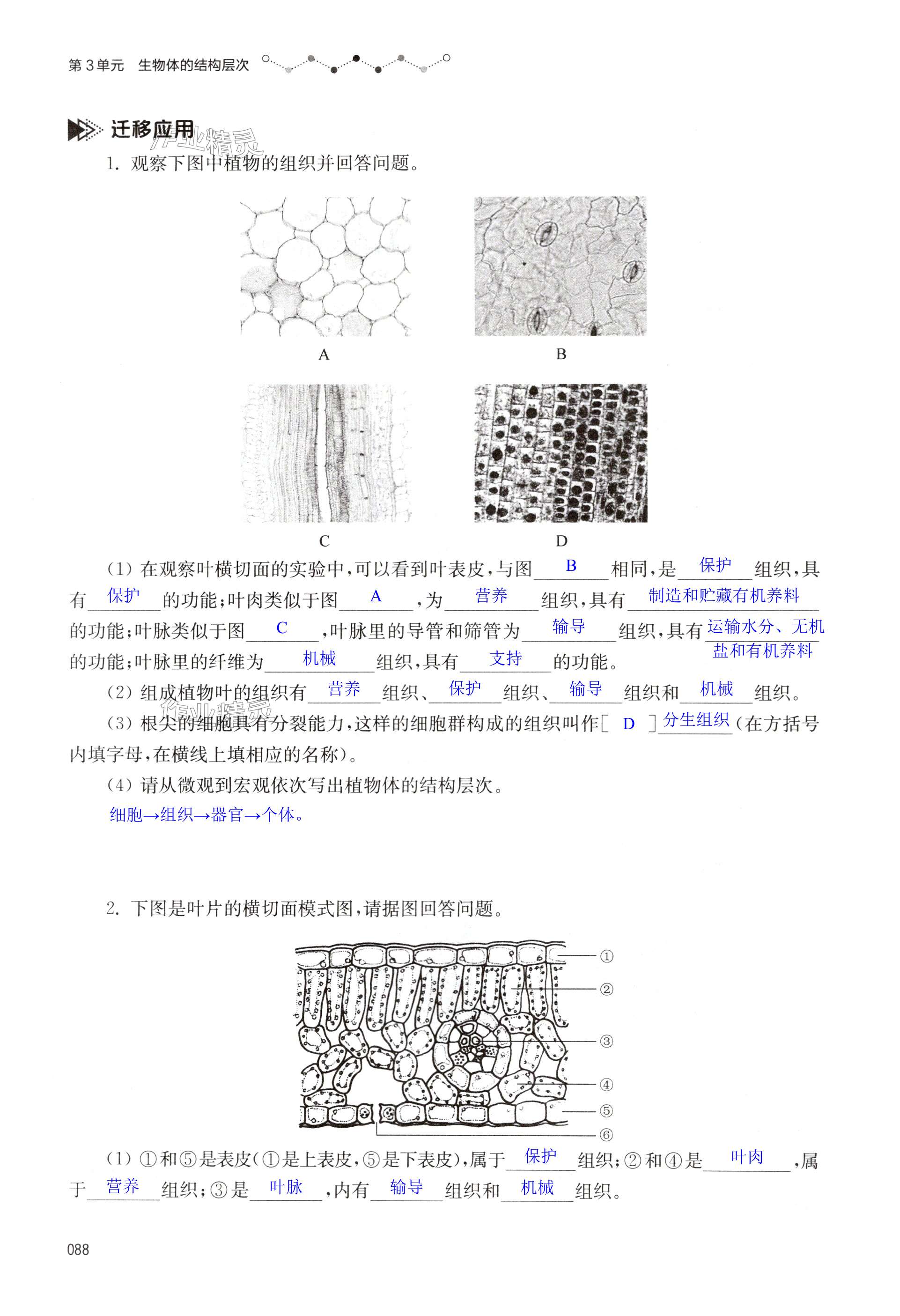 第88页