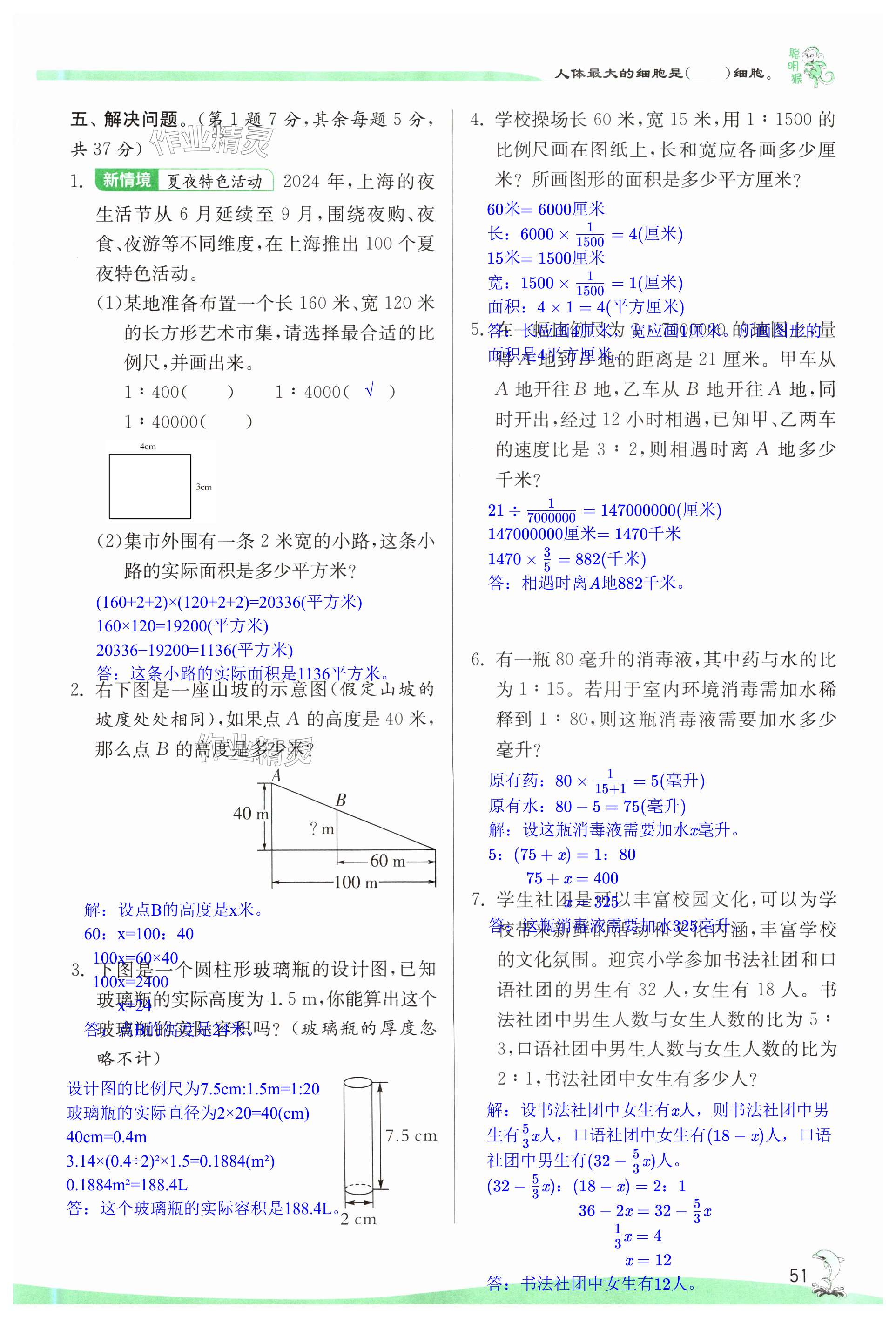 第51页
