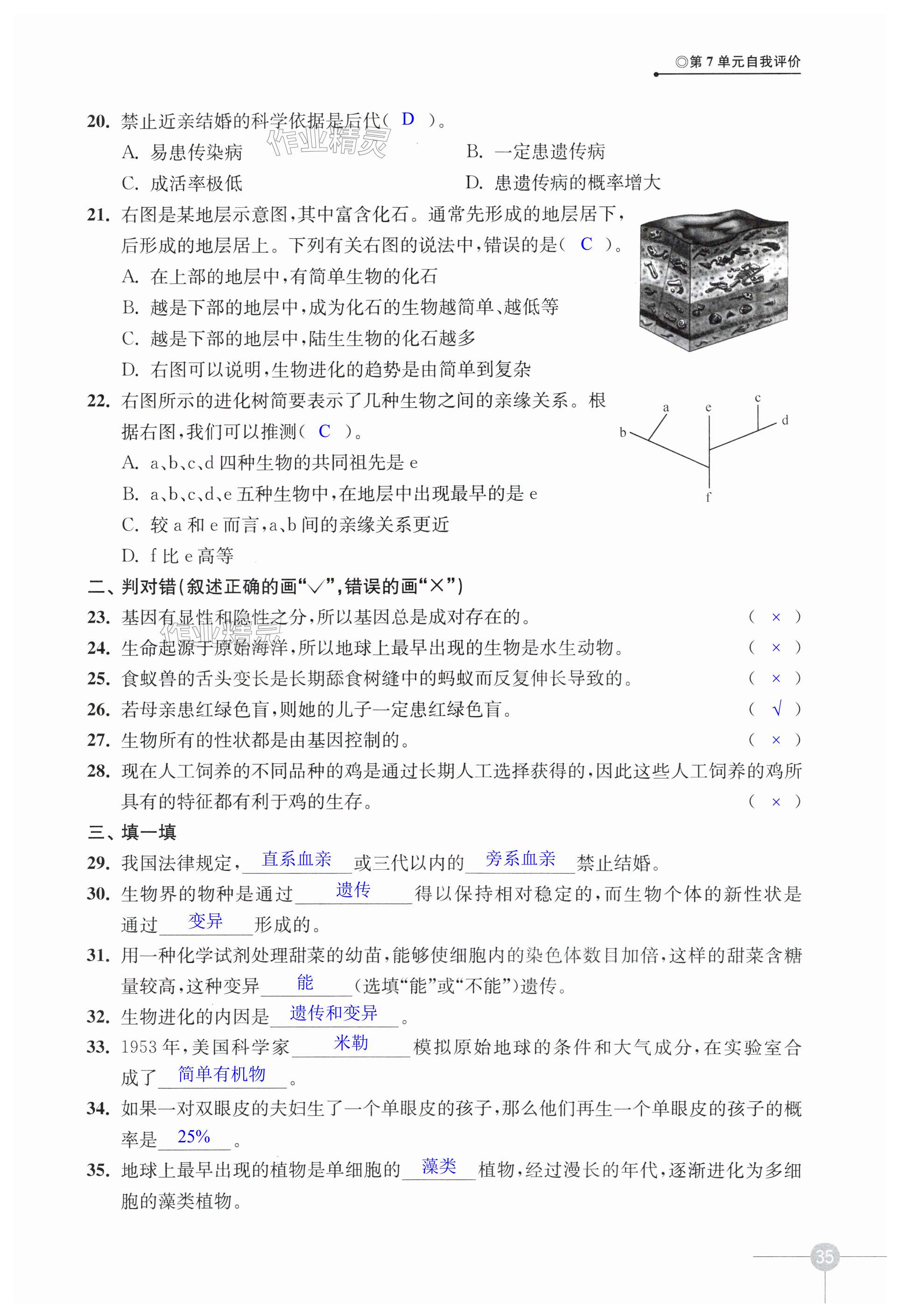 第35页