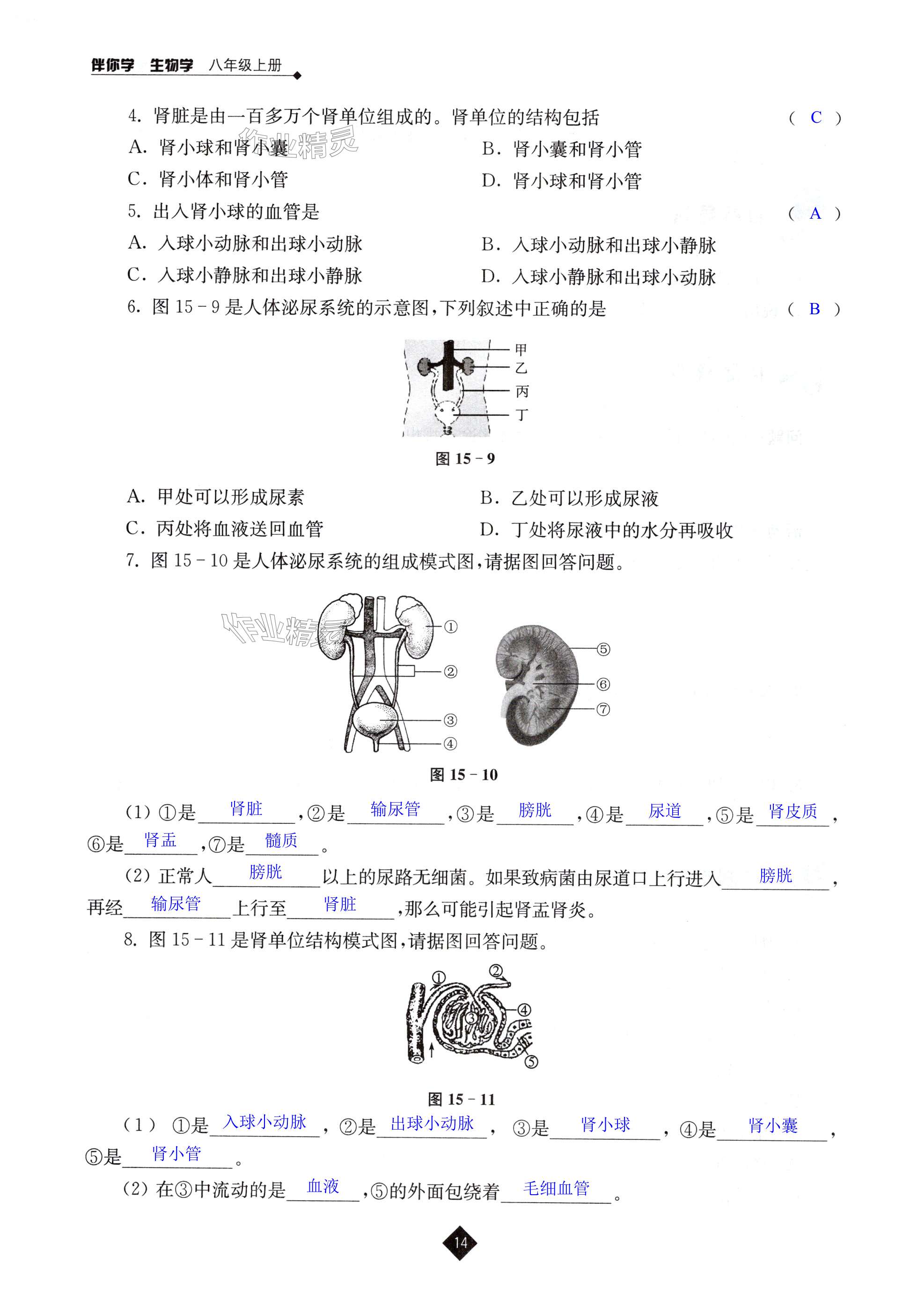 第14页