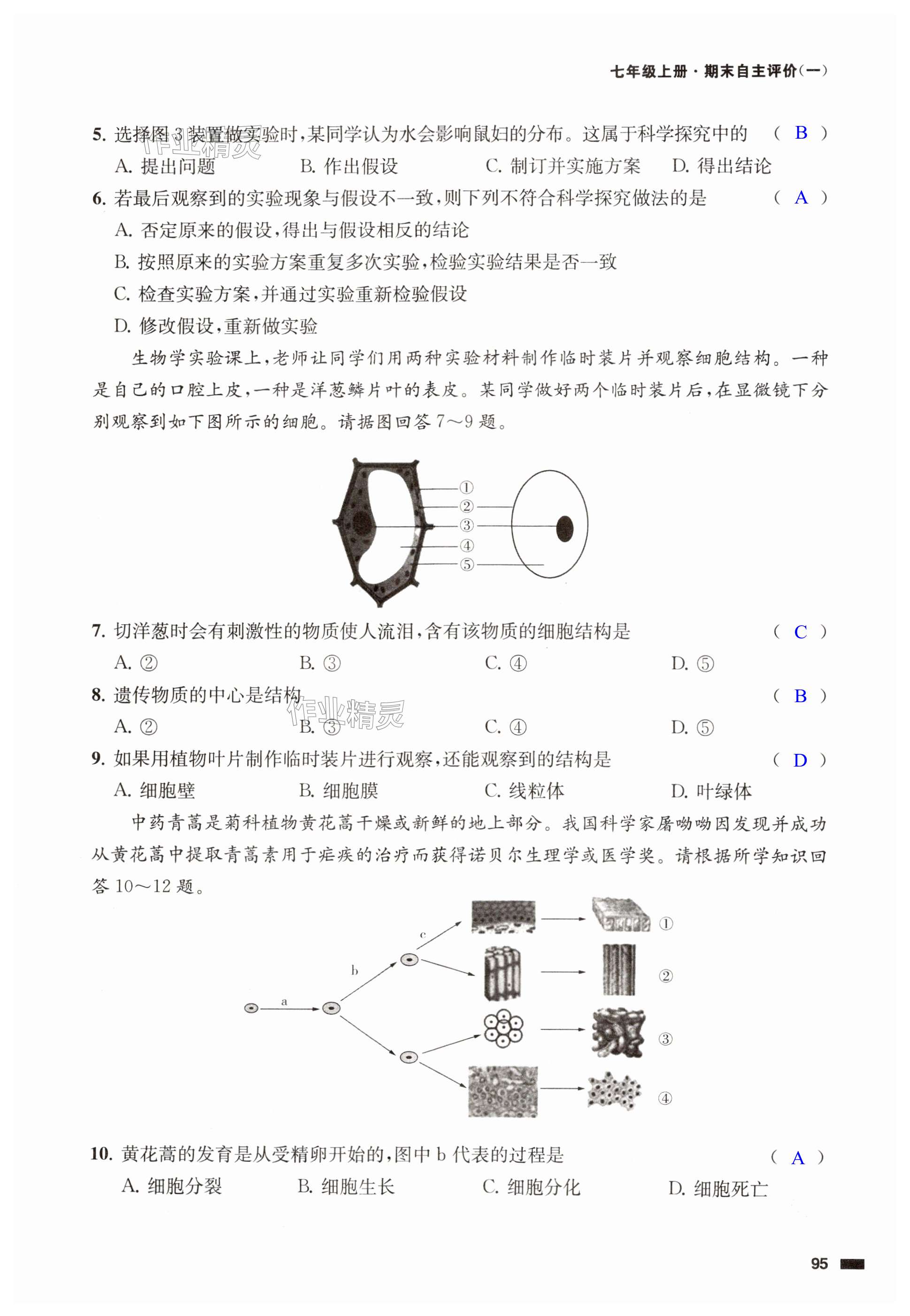 第95页