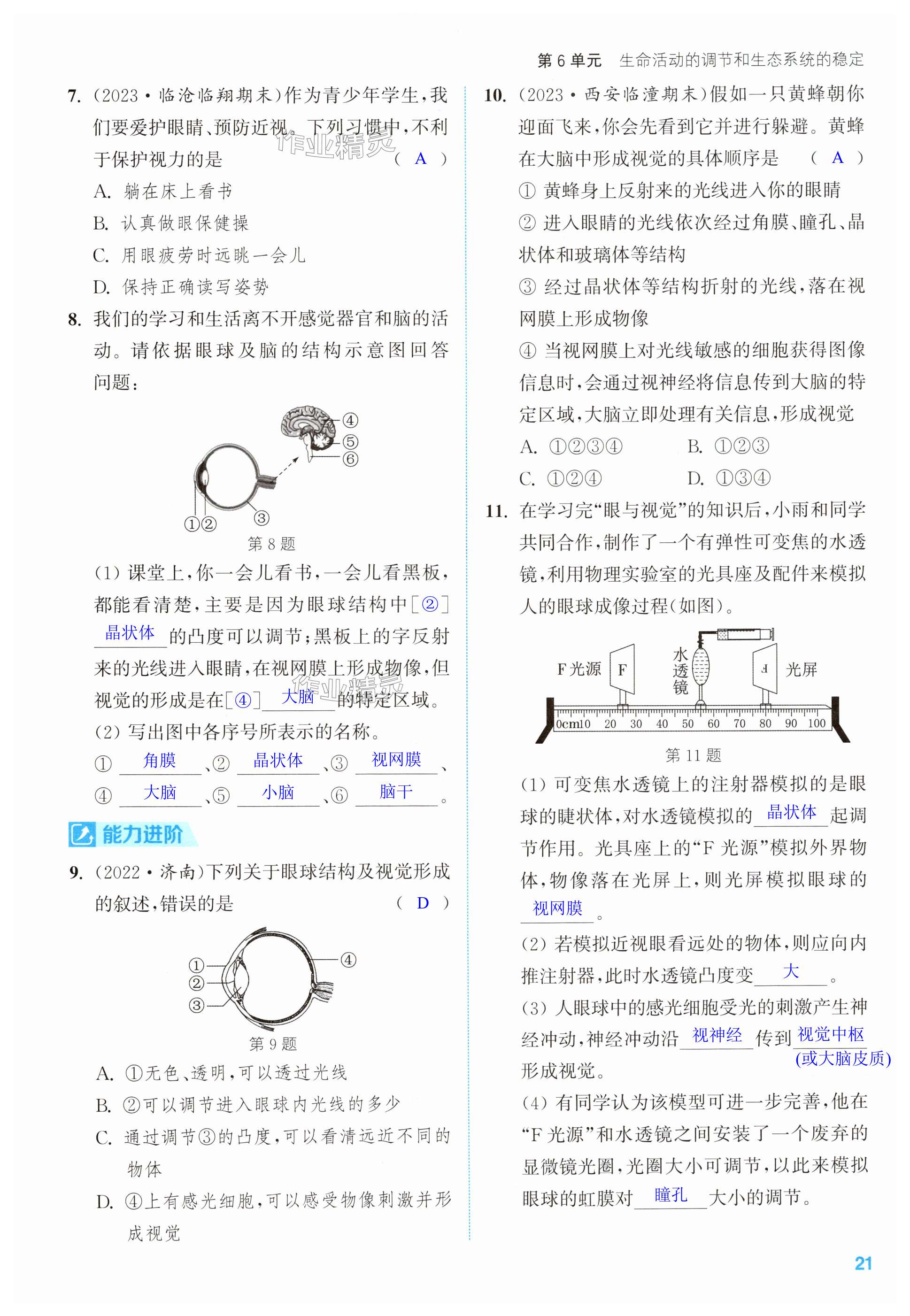 第21页