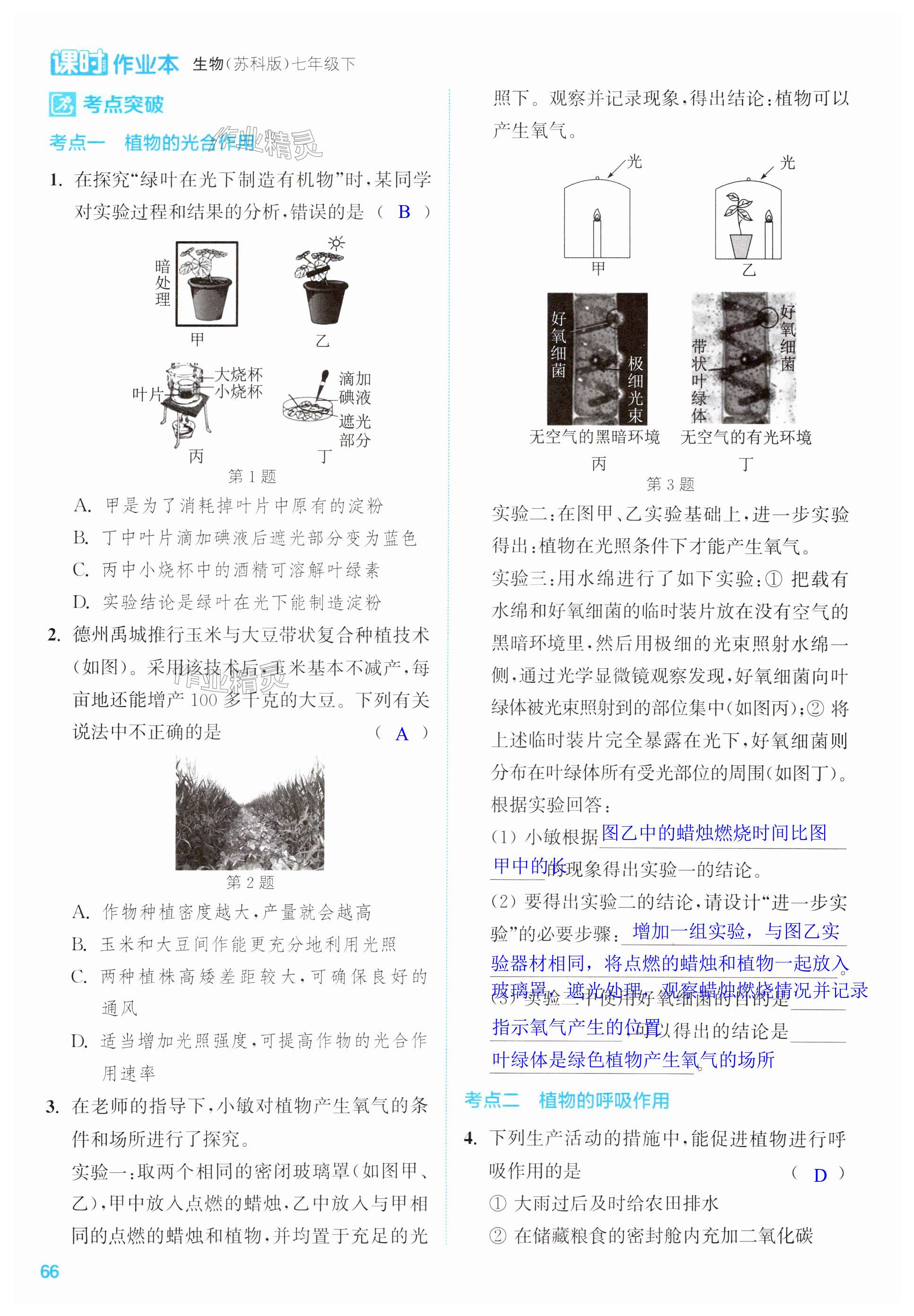 第66页