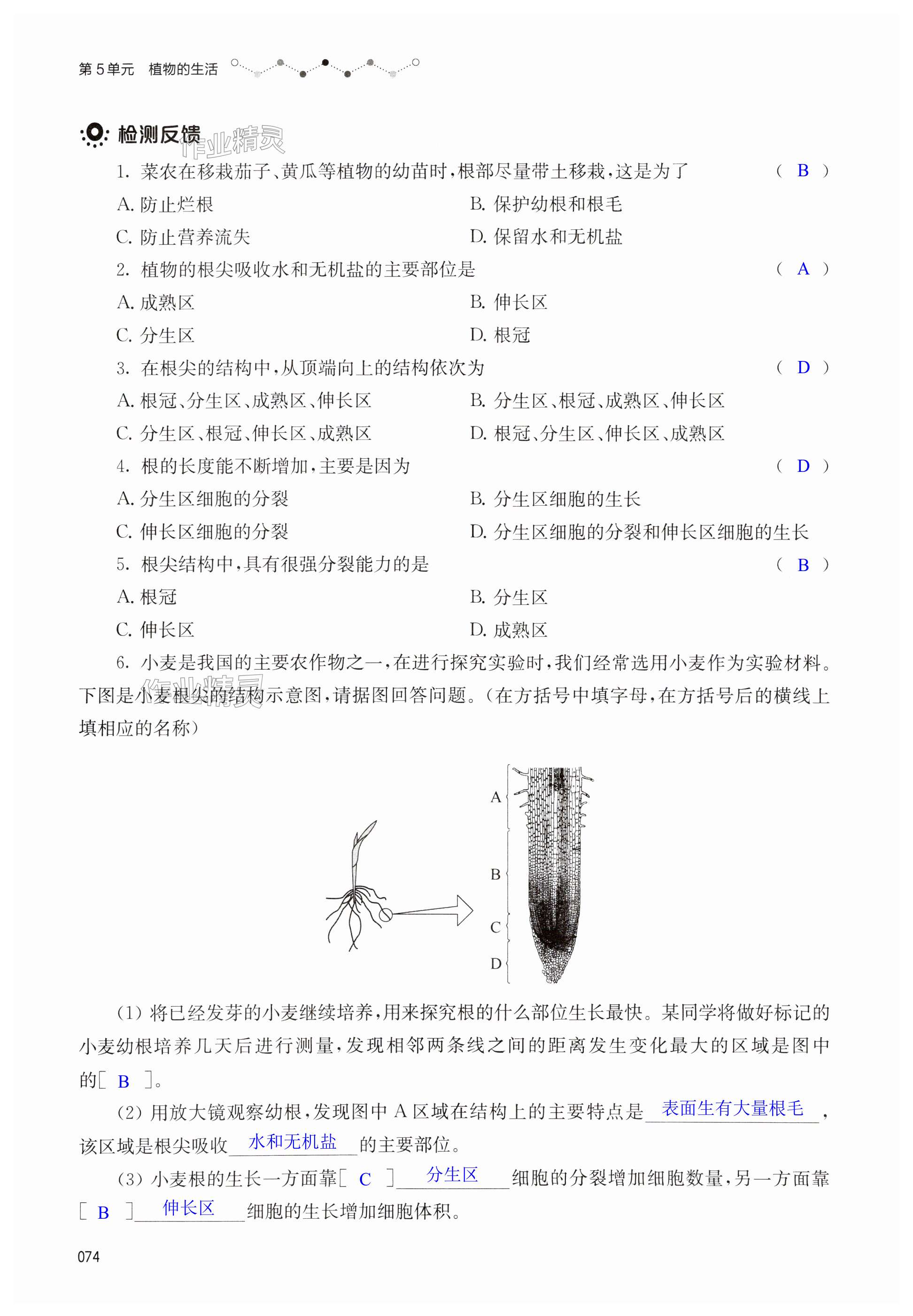 第74页