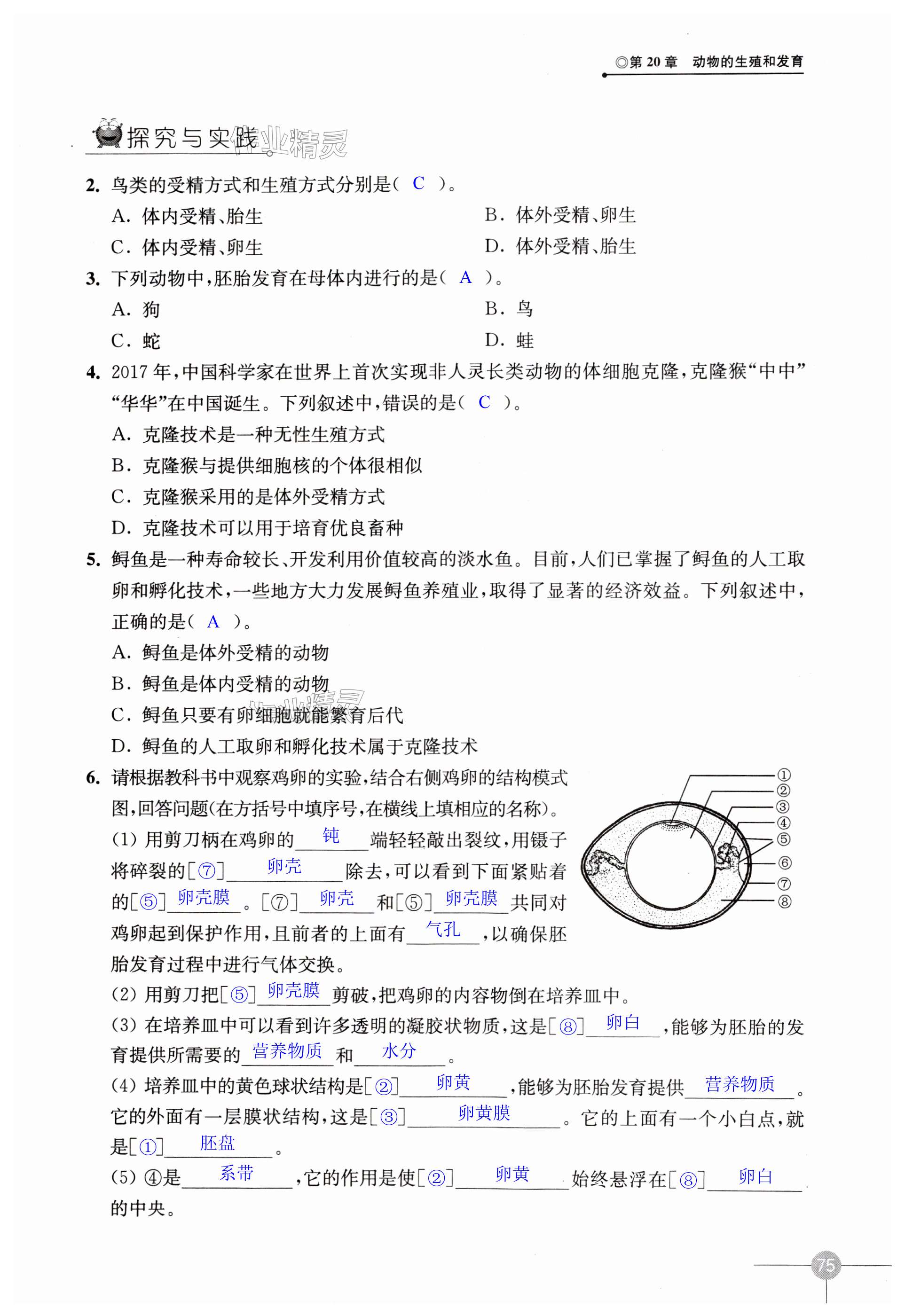 第75页