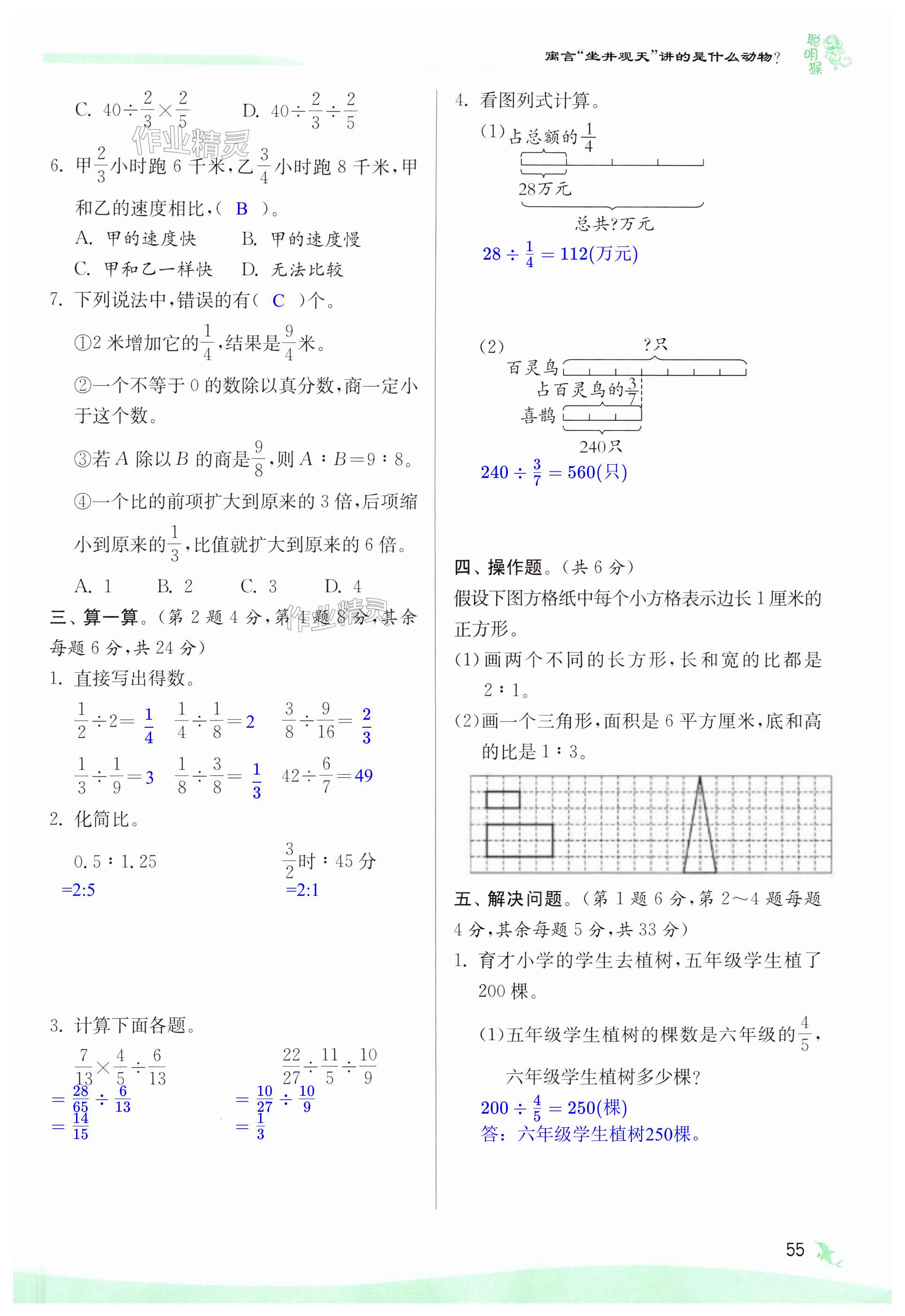 第55页