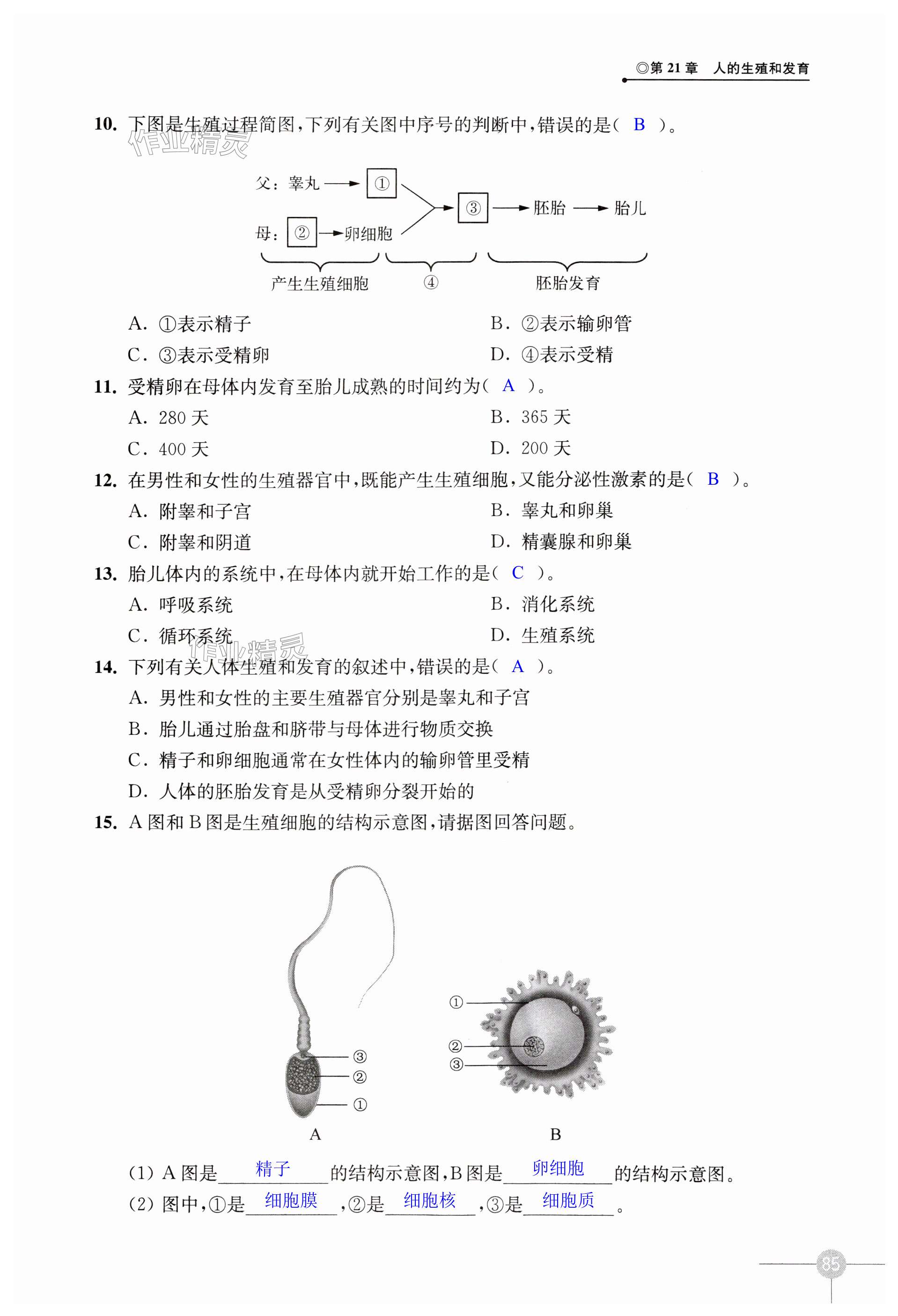 第85页