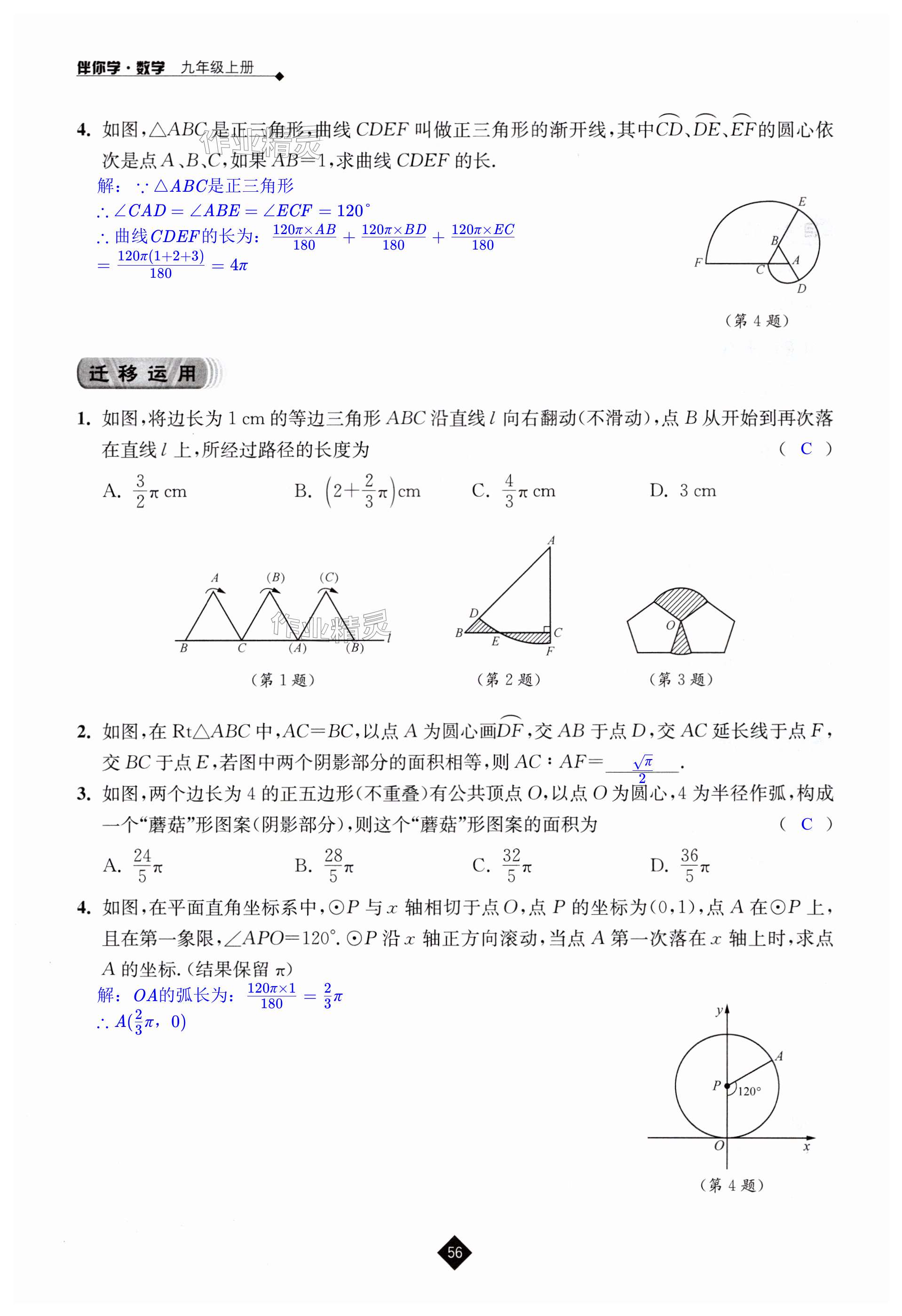 第56页