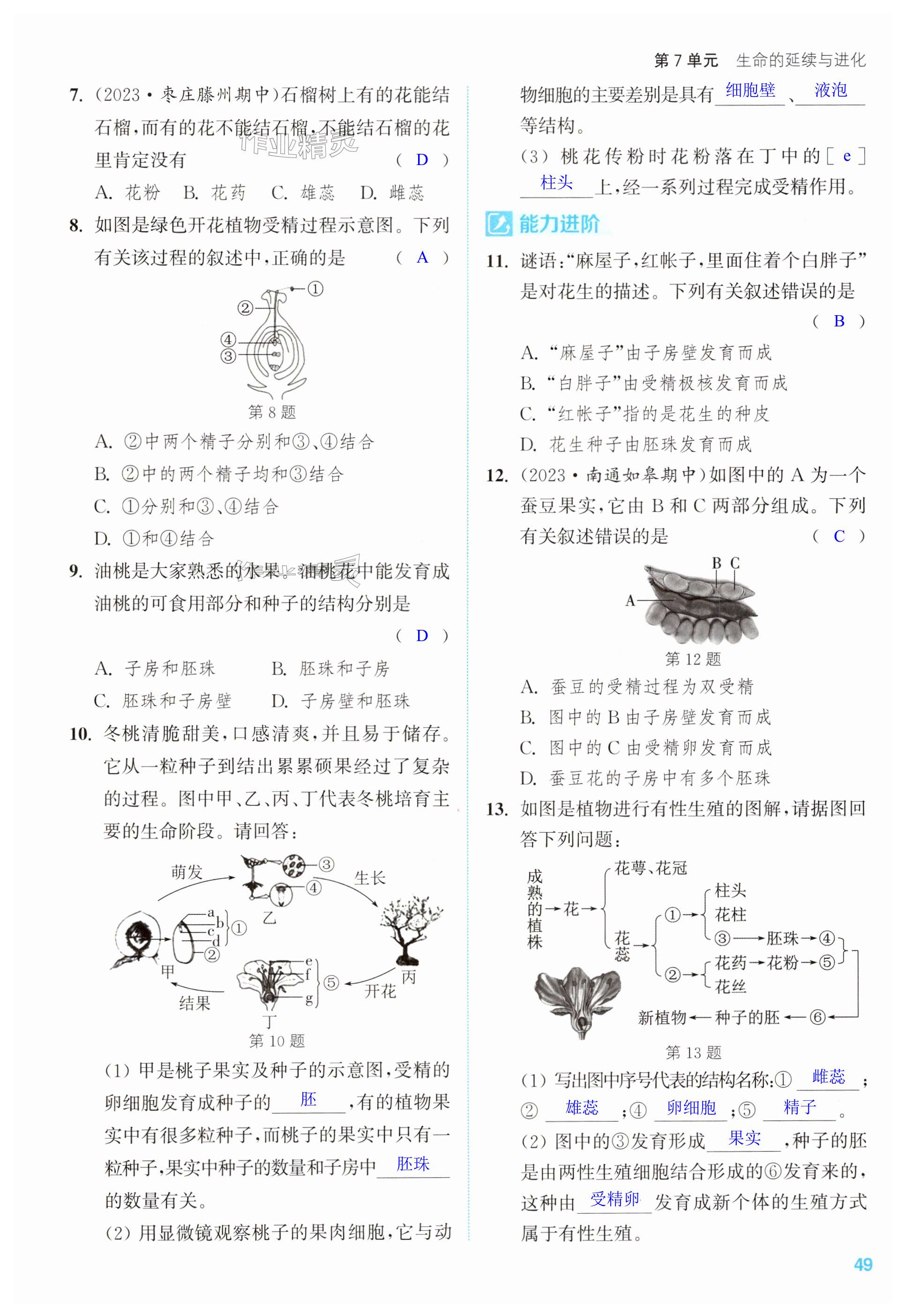 第49页