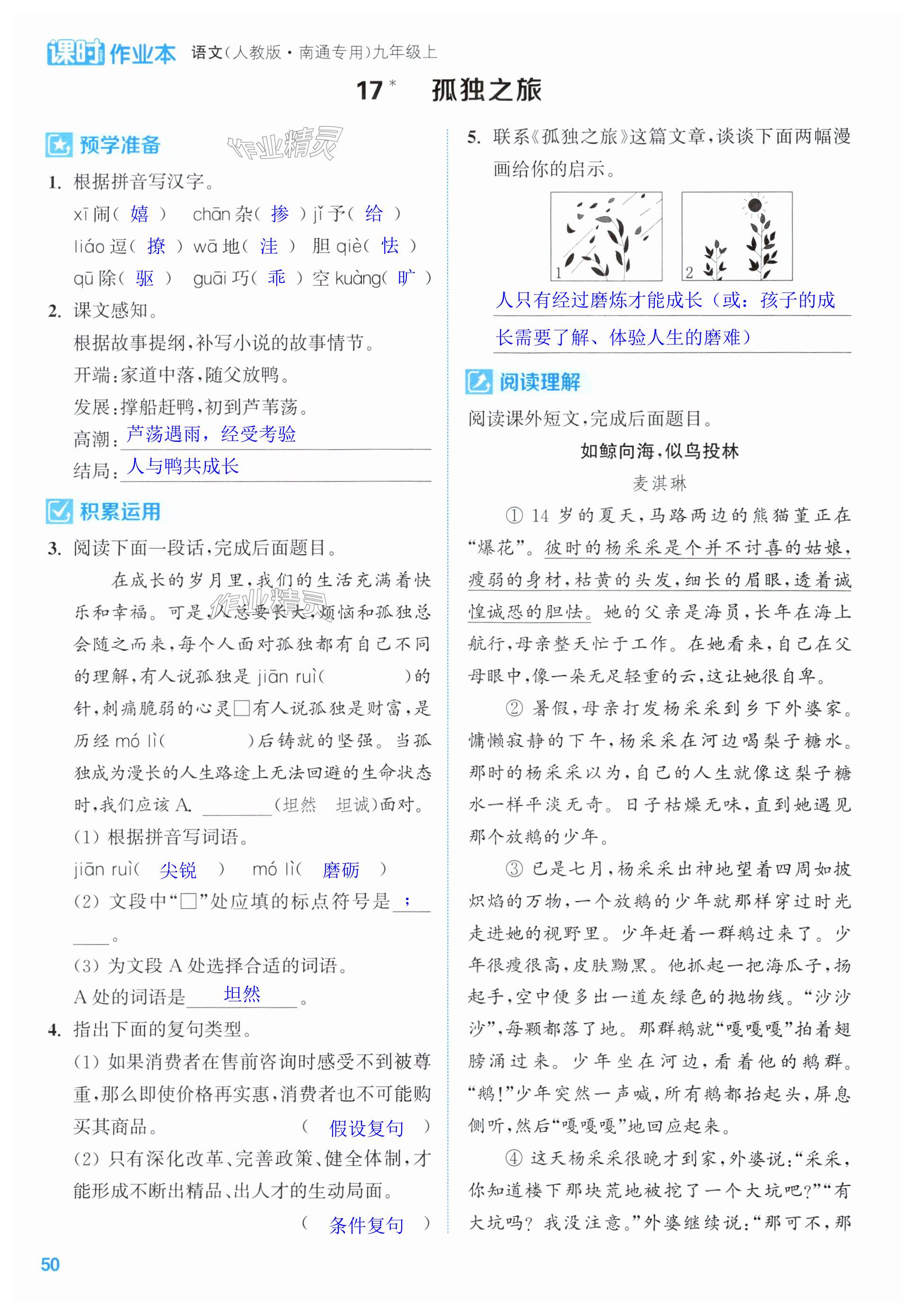 第50页
