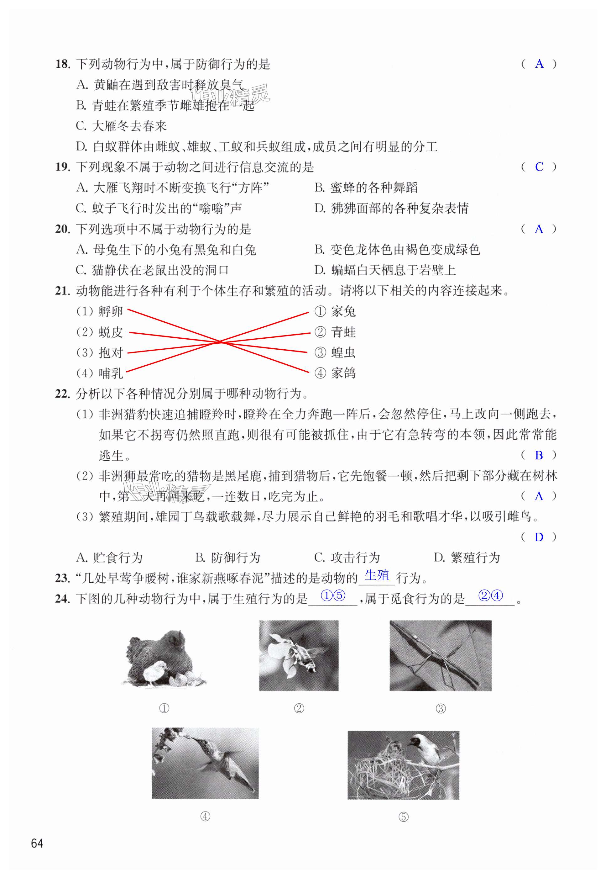 第64页