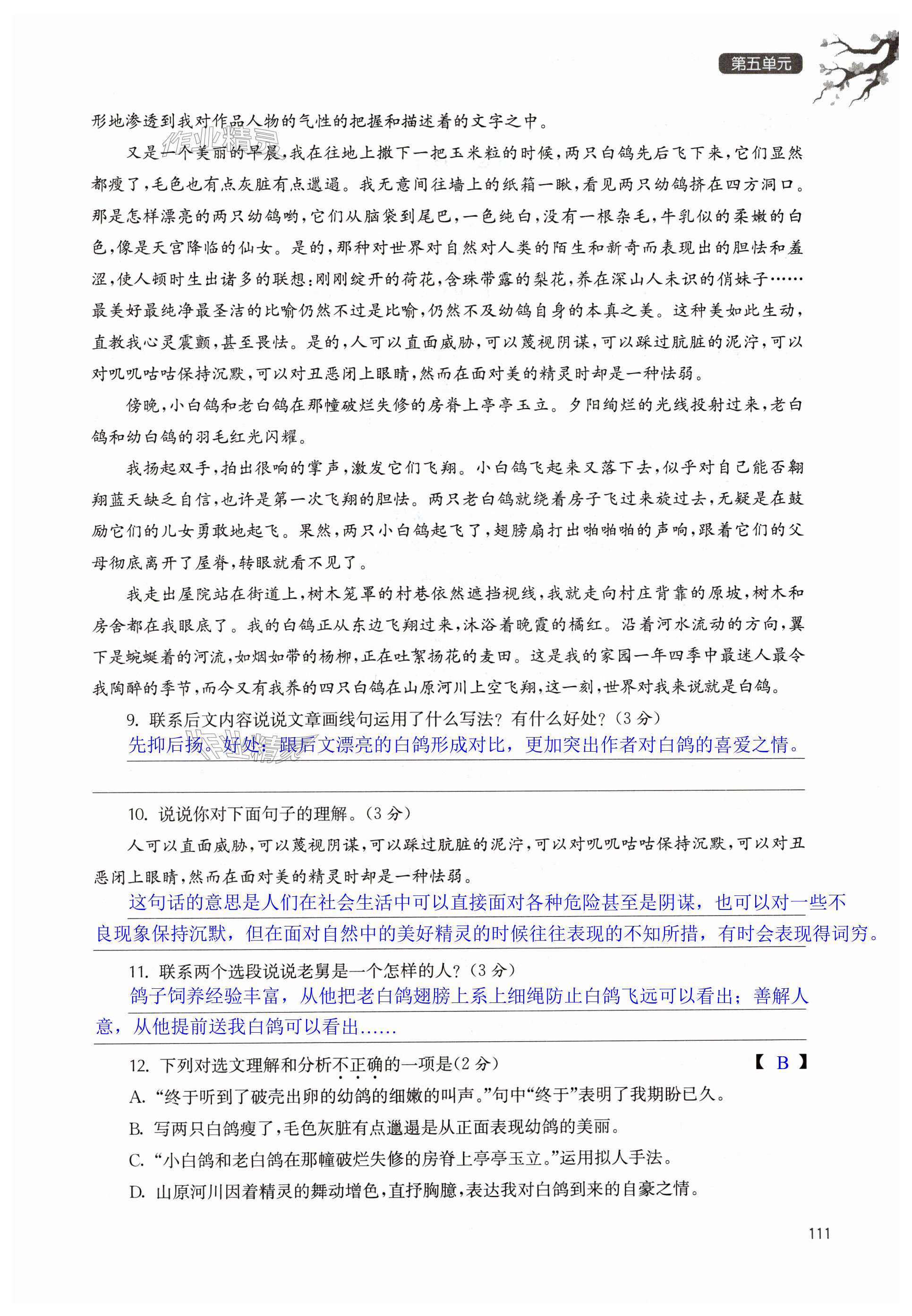 第111页