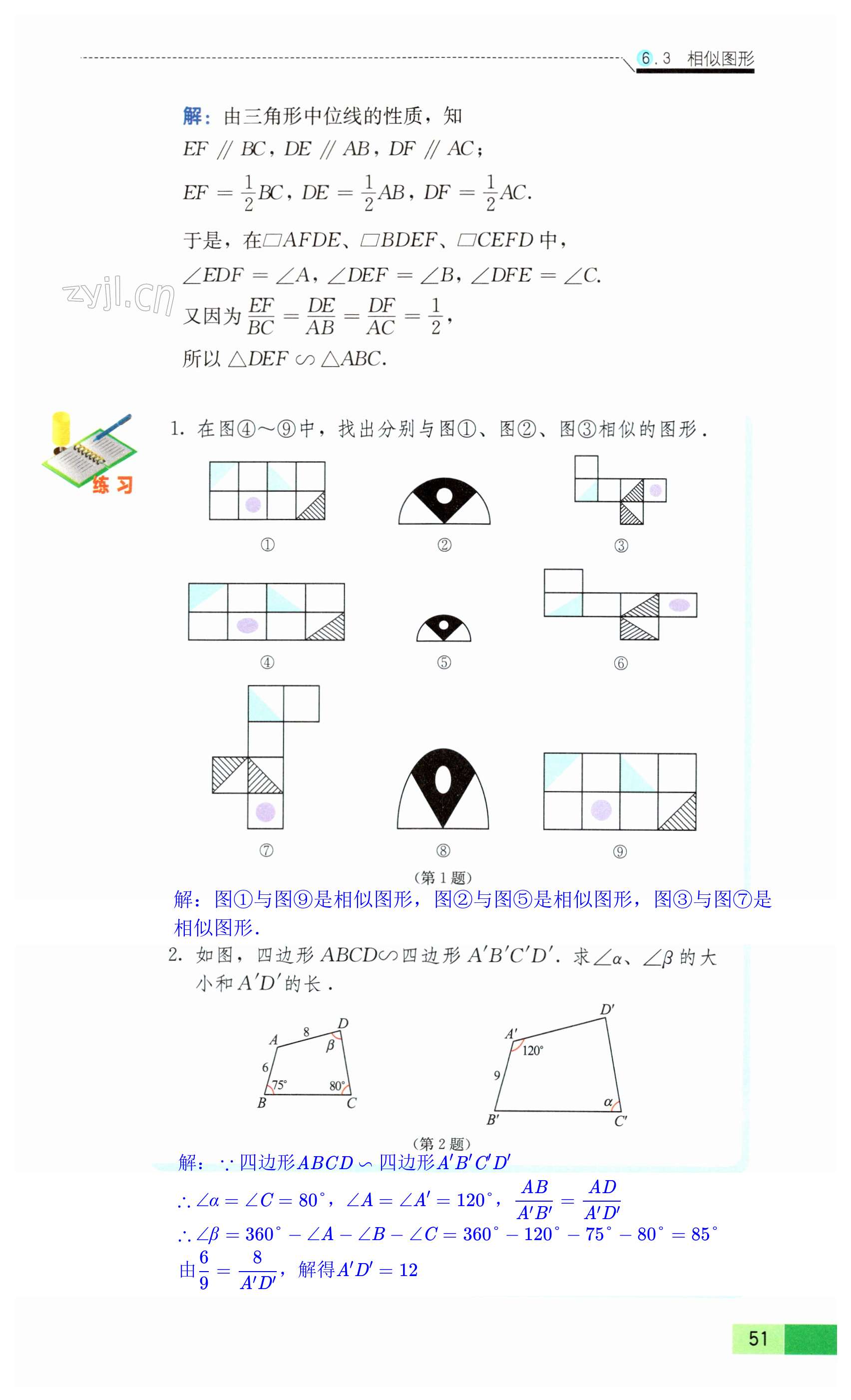 第51页