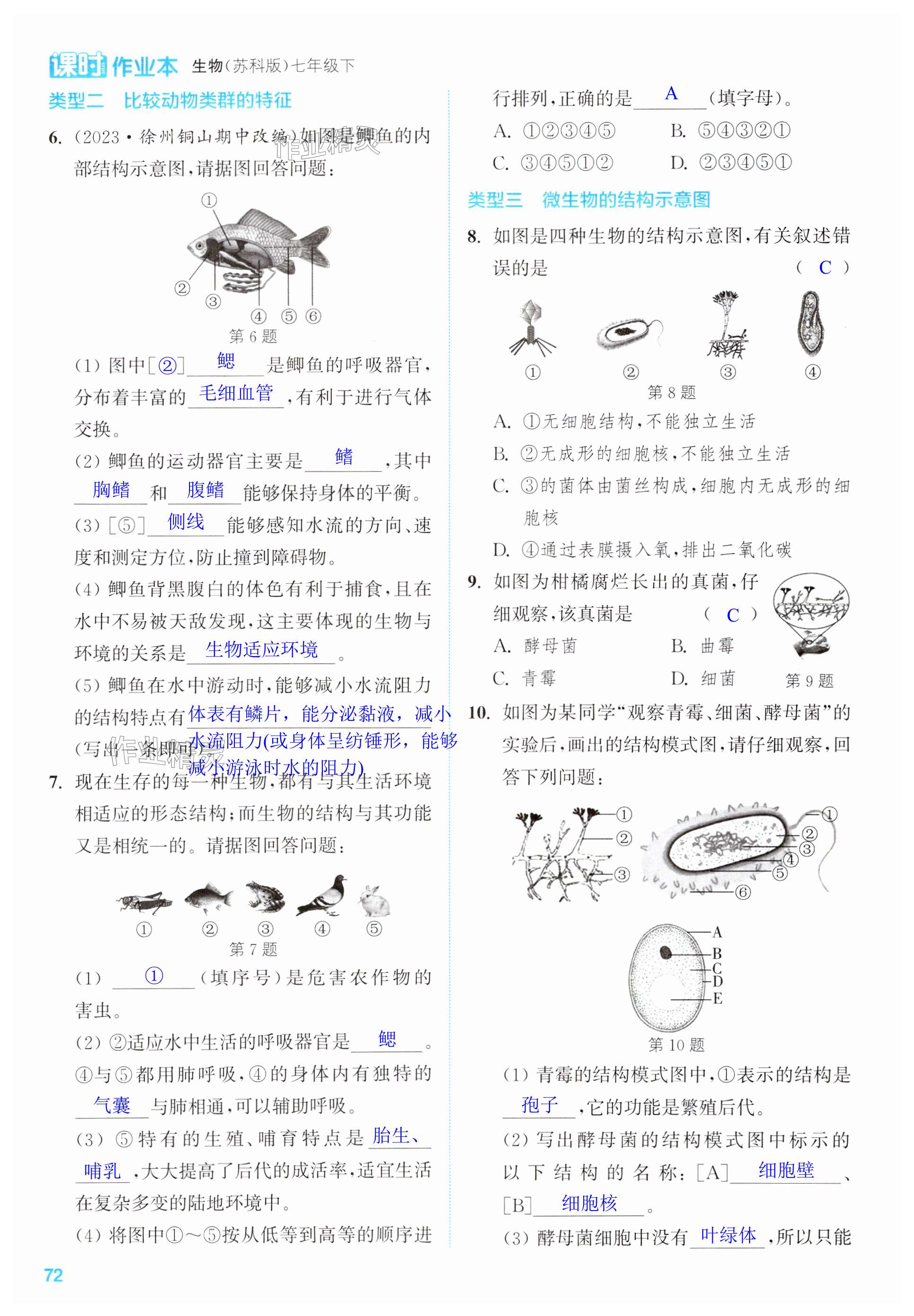 第72页