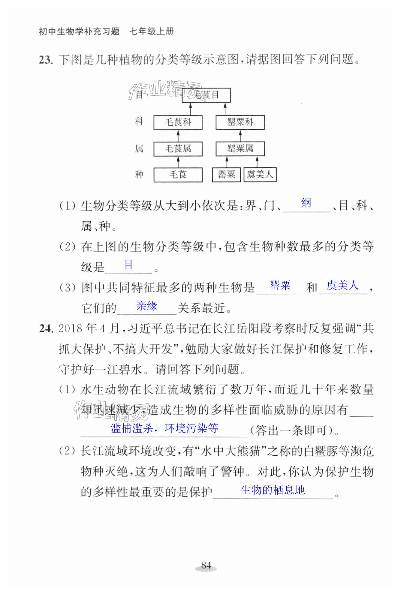 第84页