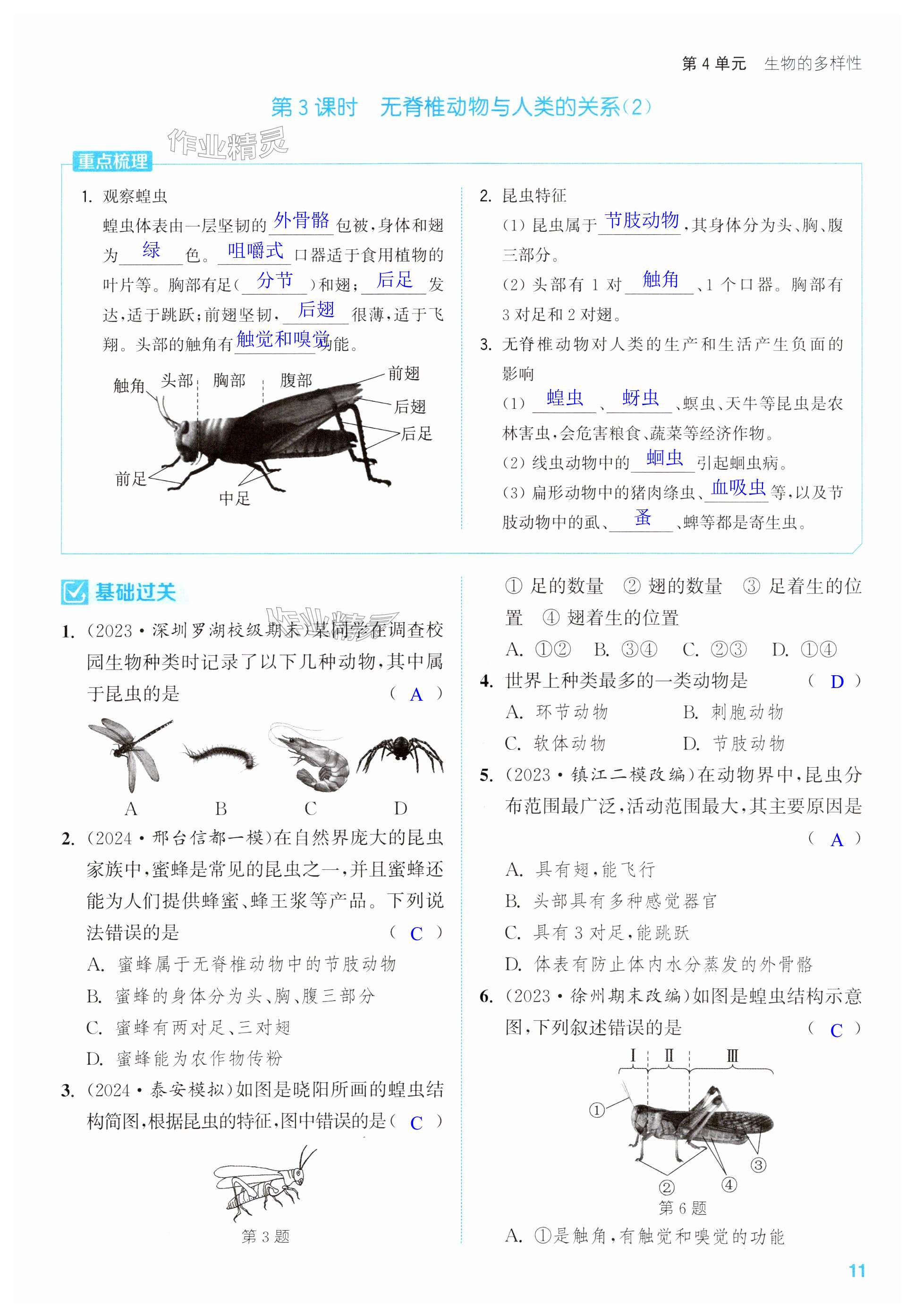 第11页