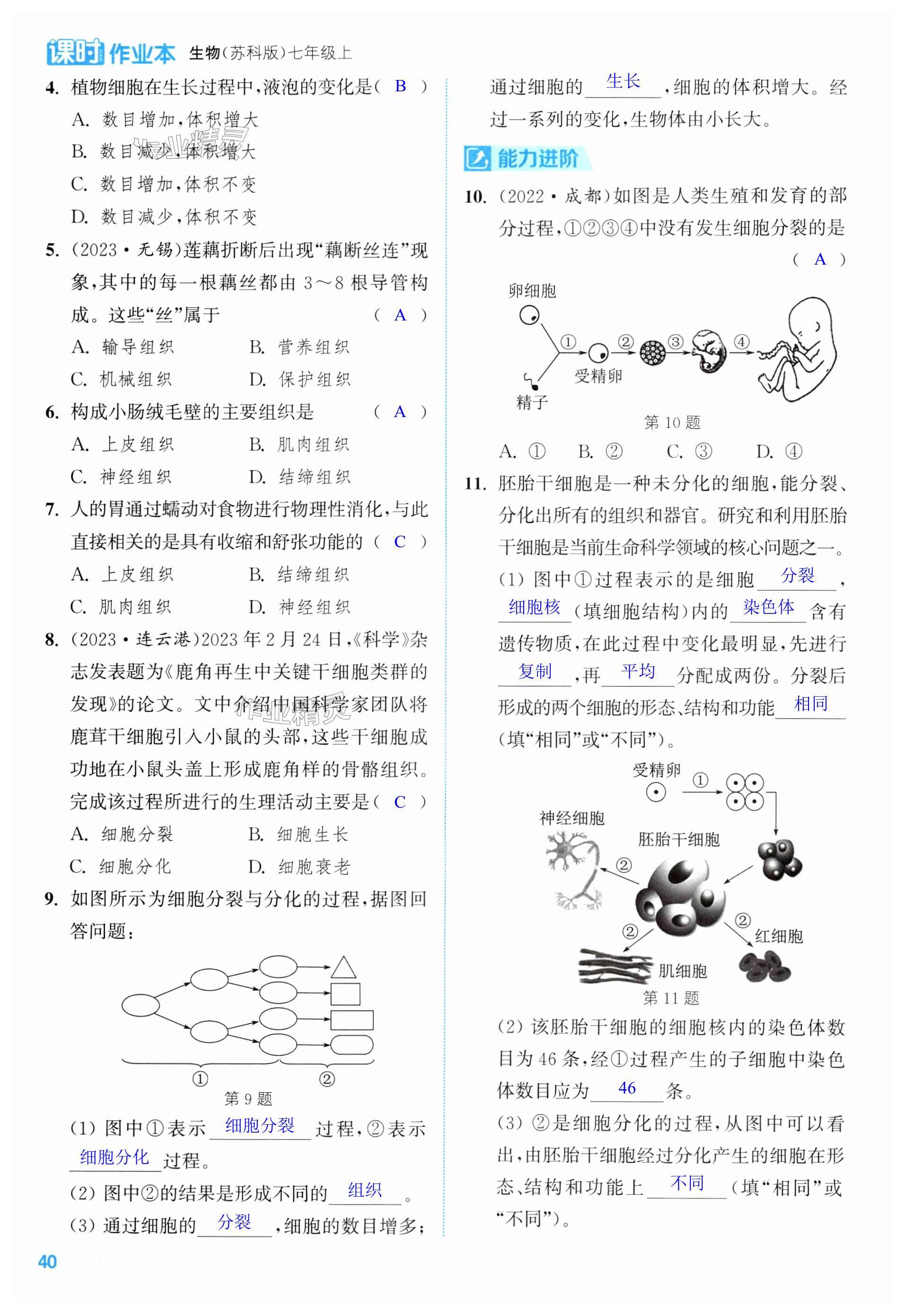 第40页