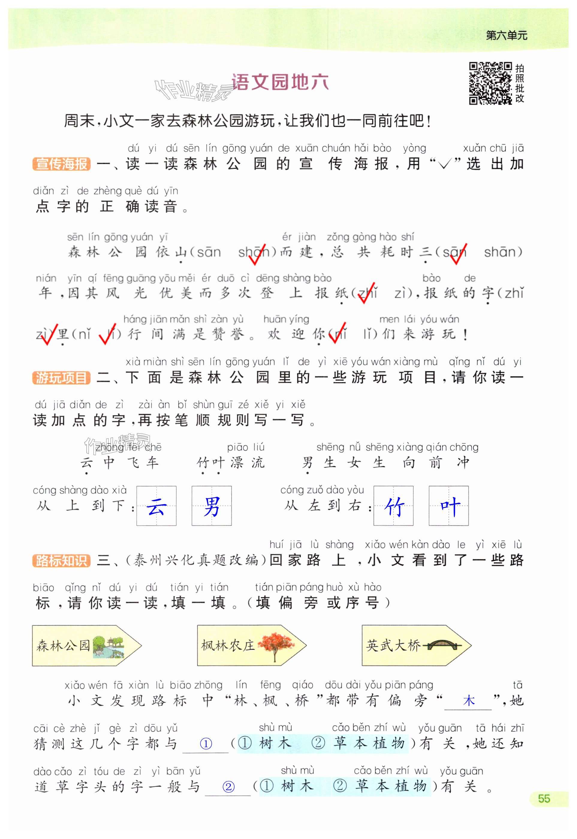第55页
