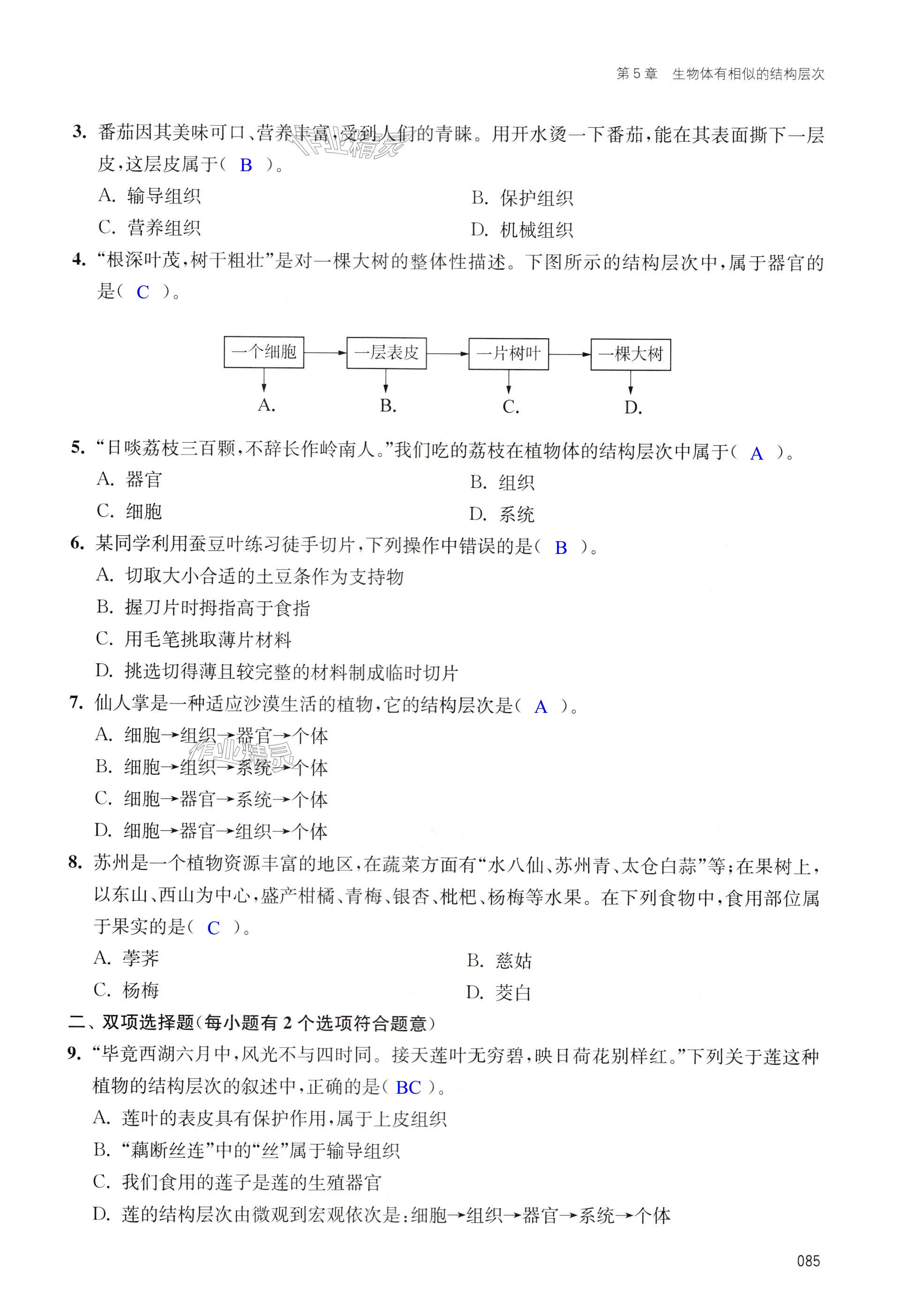 第85页